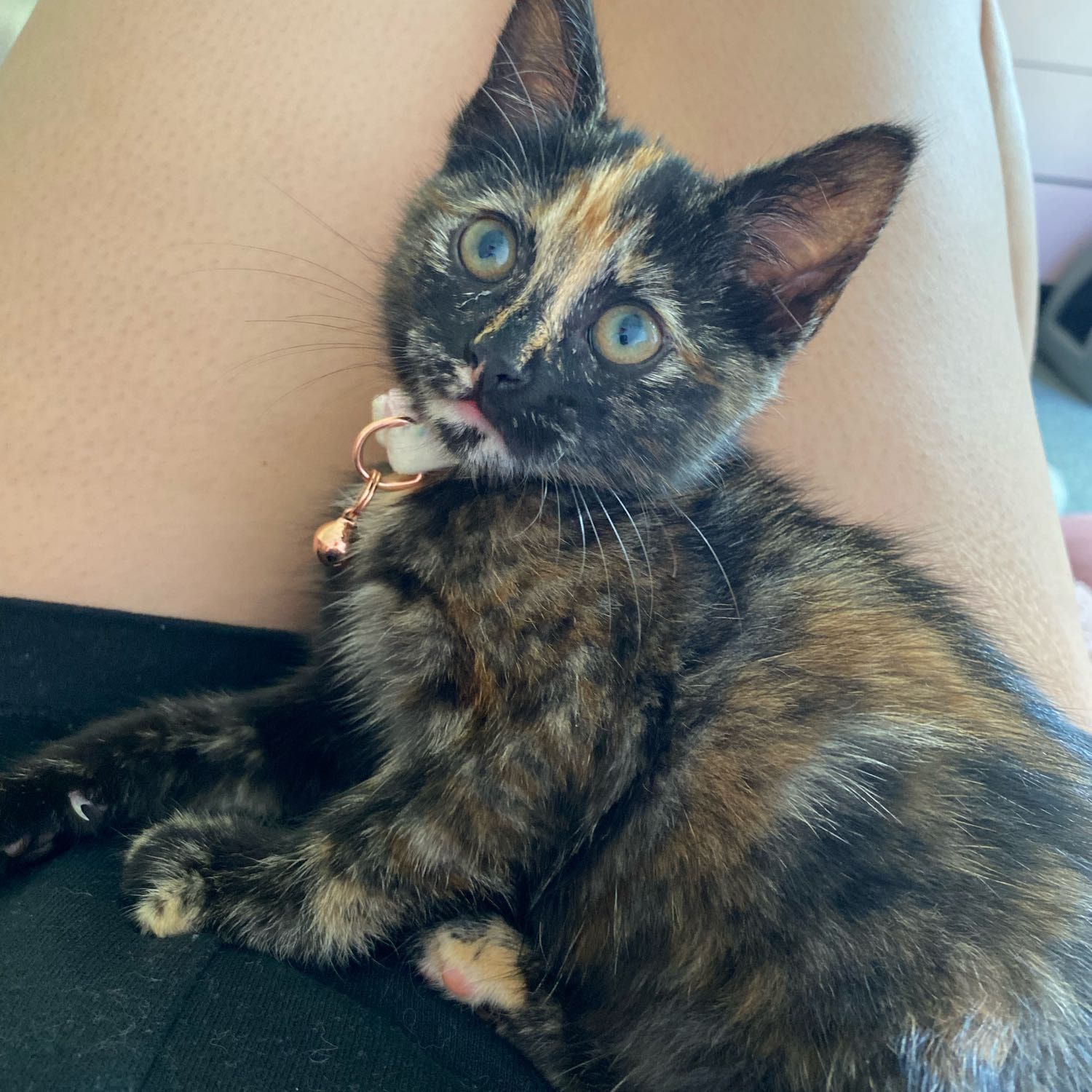 Suki