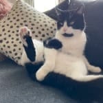 Sebastian