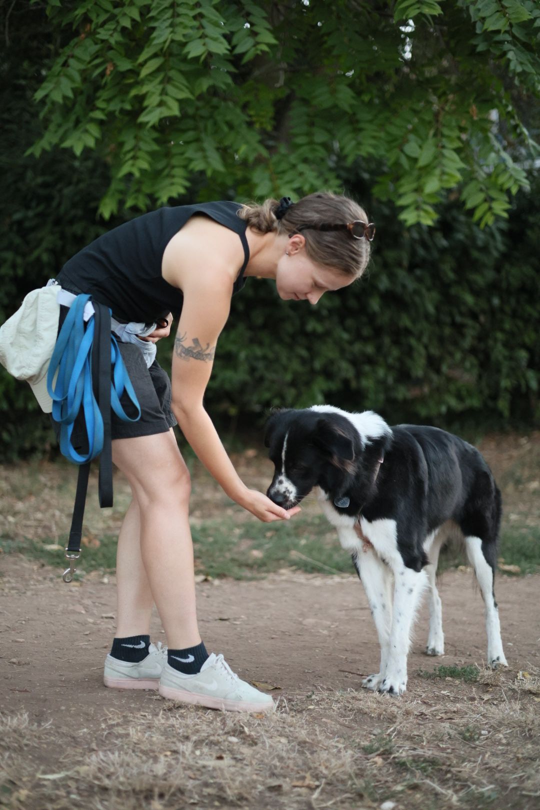 image-8