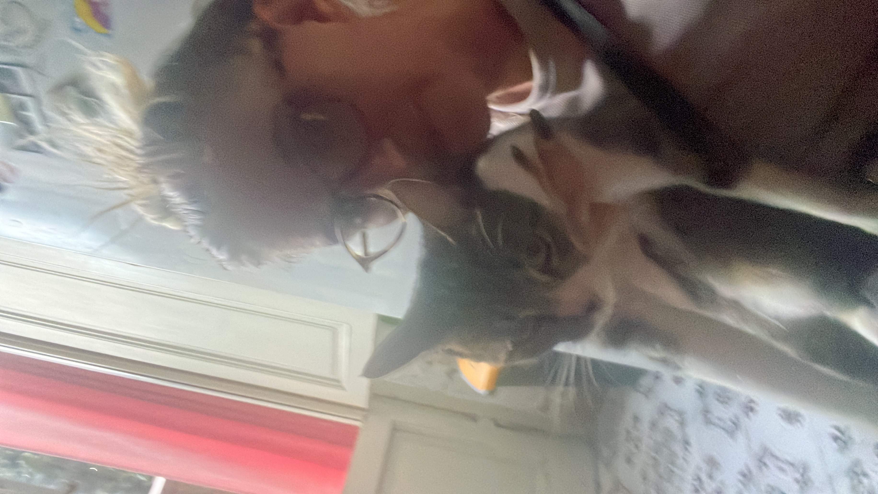 image-6