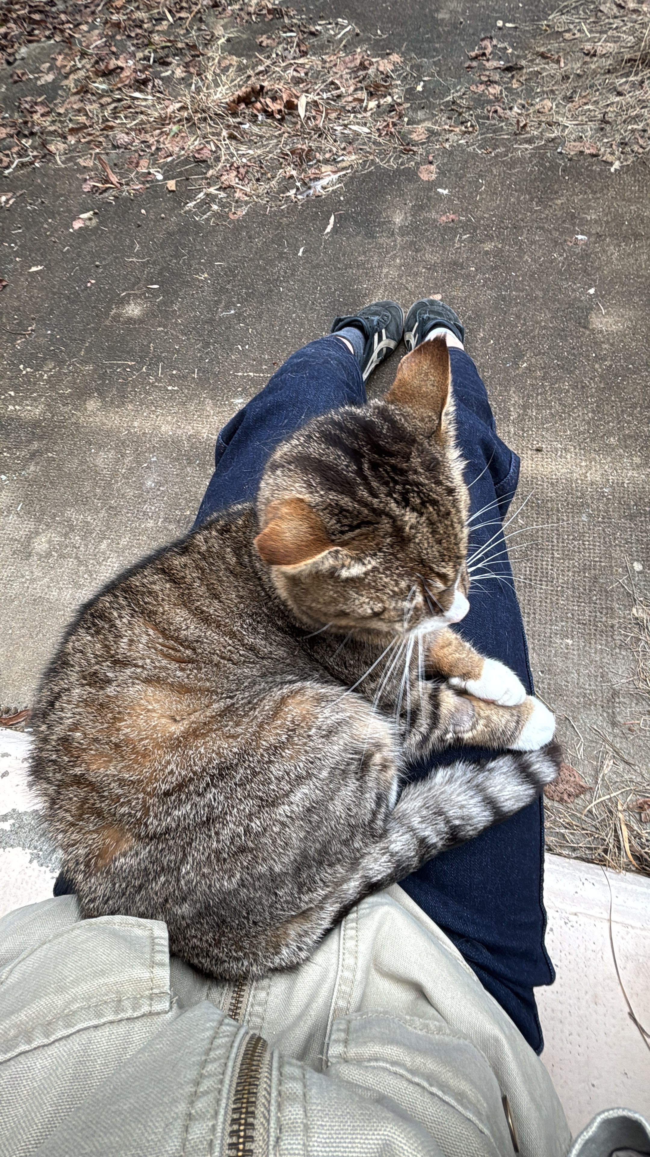 image-6