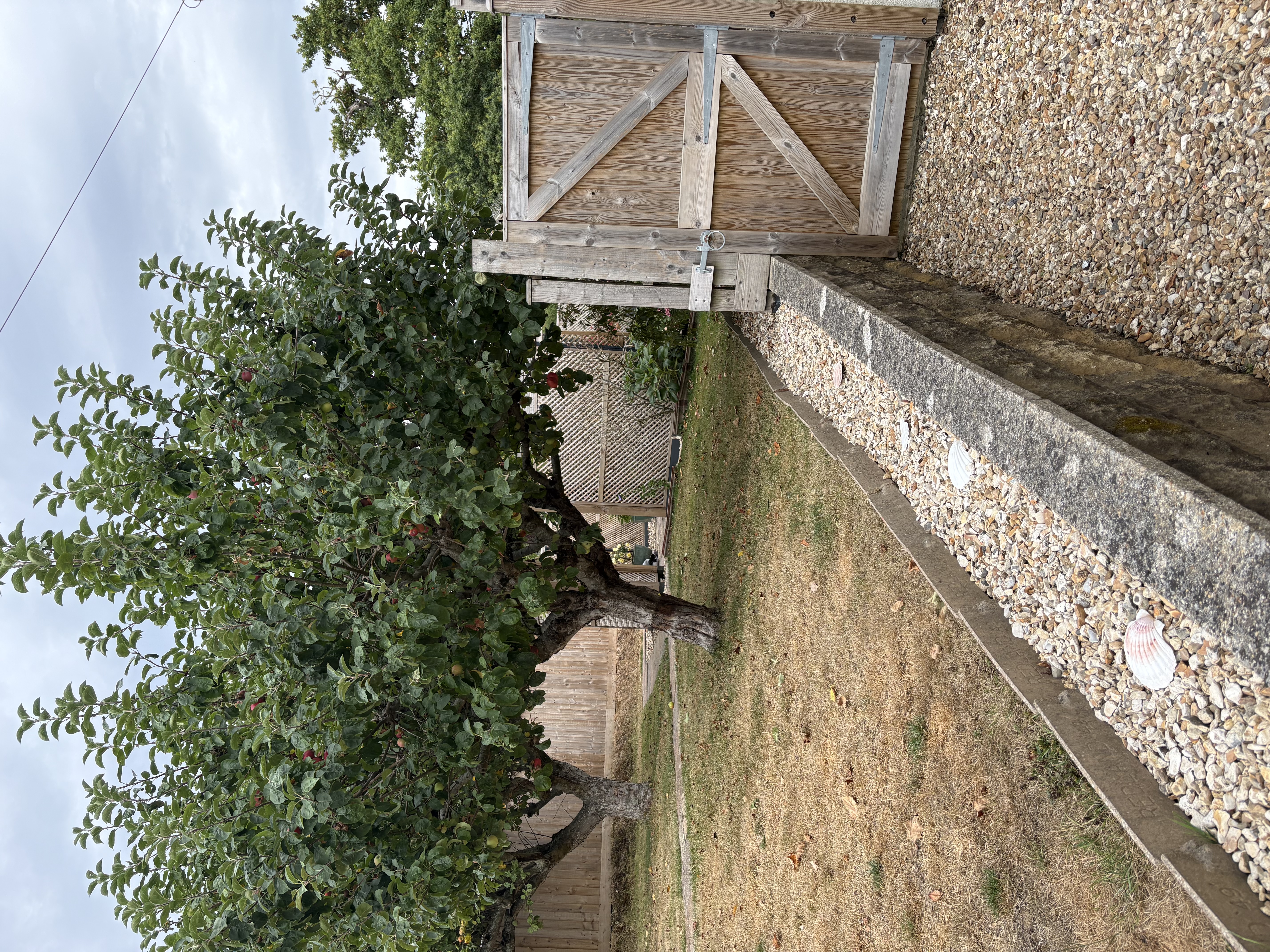 image-17