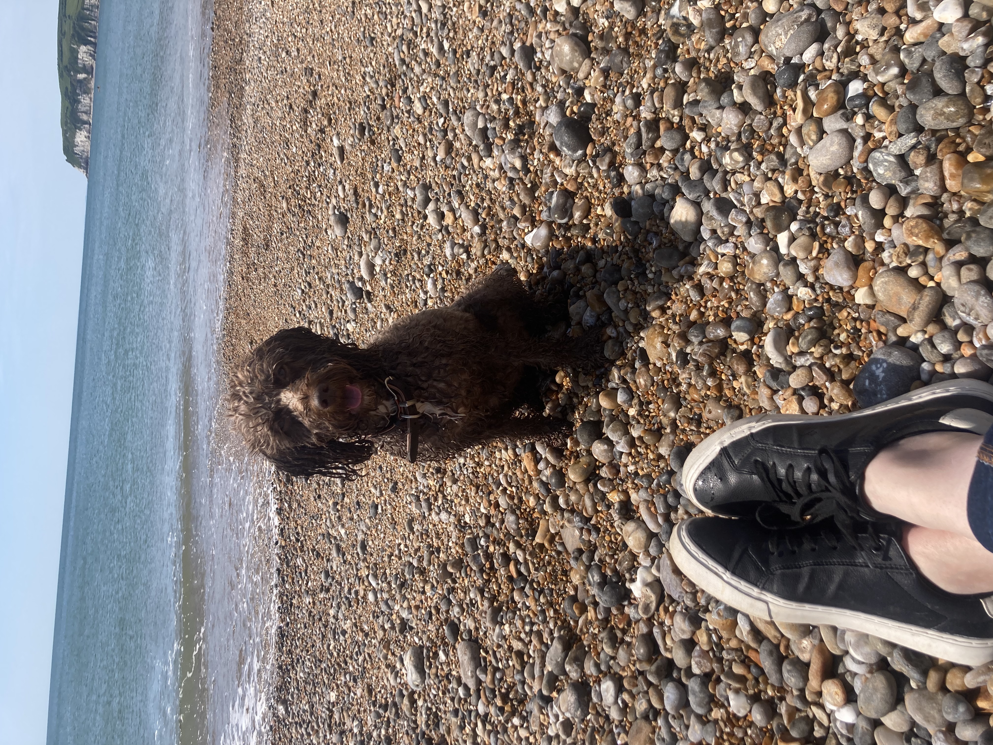 image-7