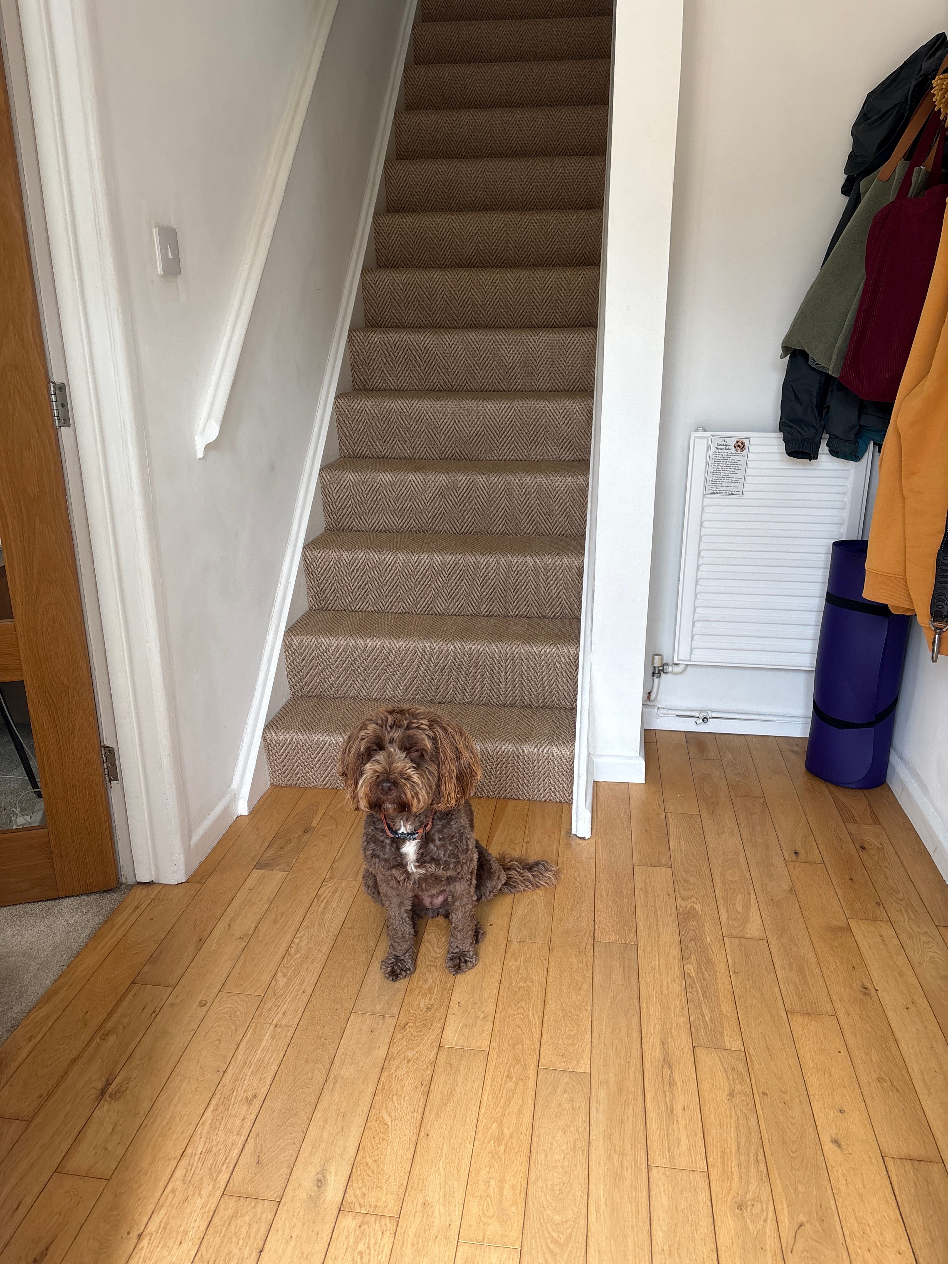 image-23