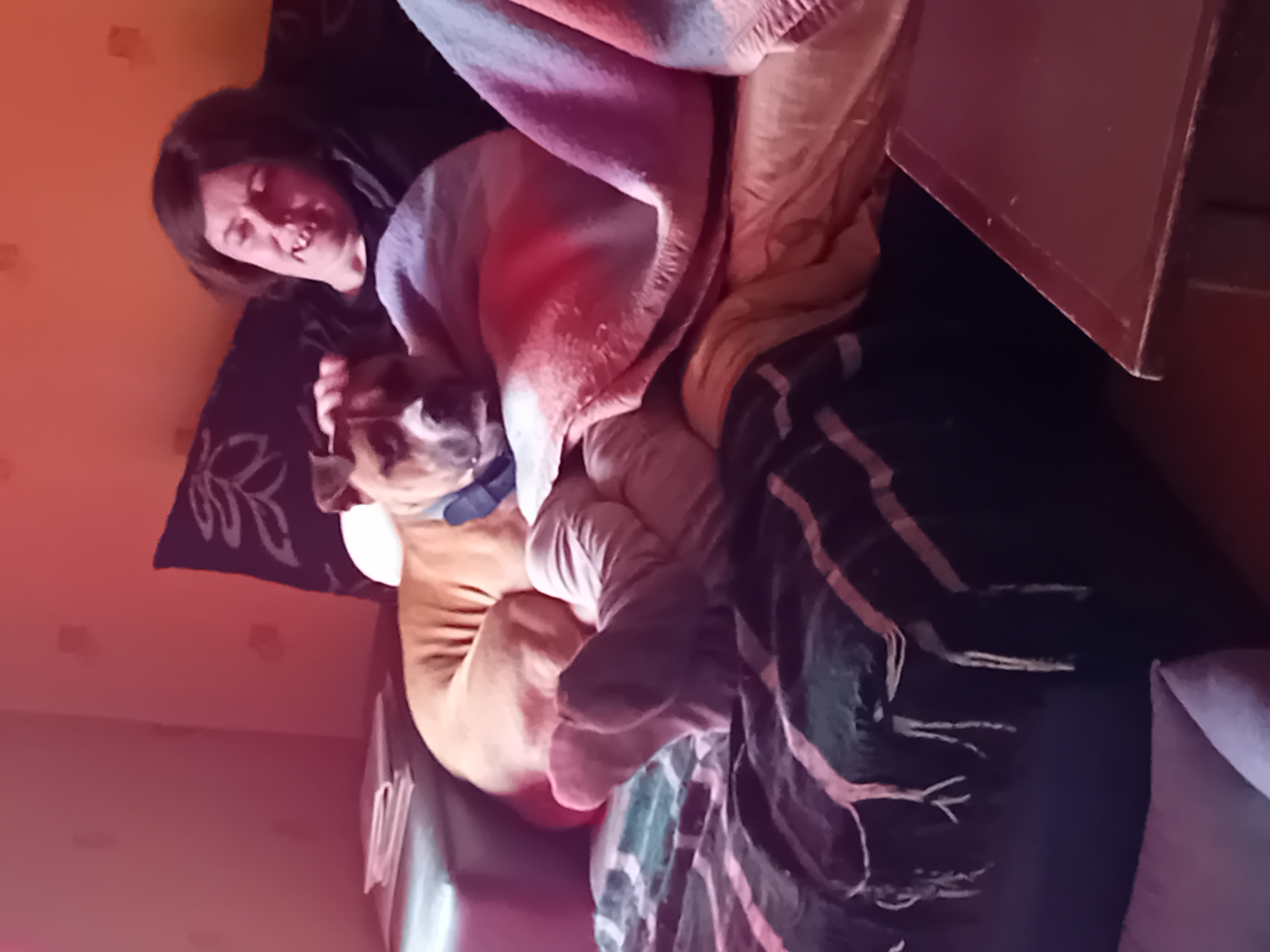 image-5