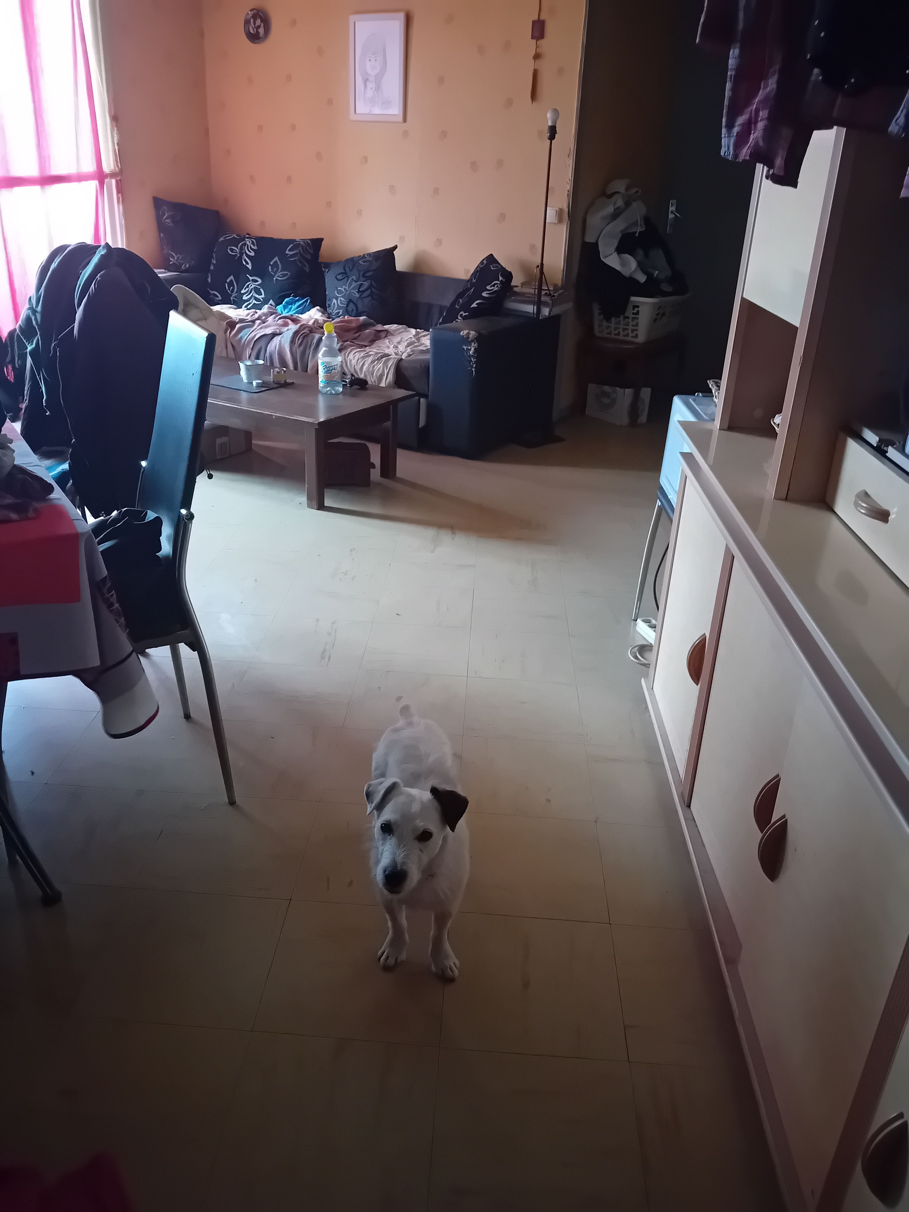 image-22