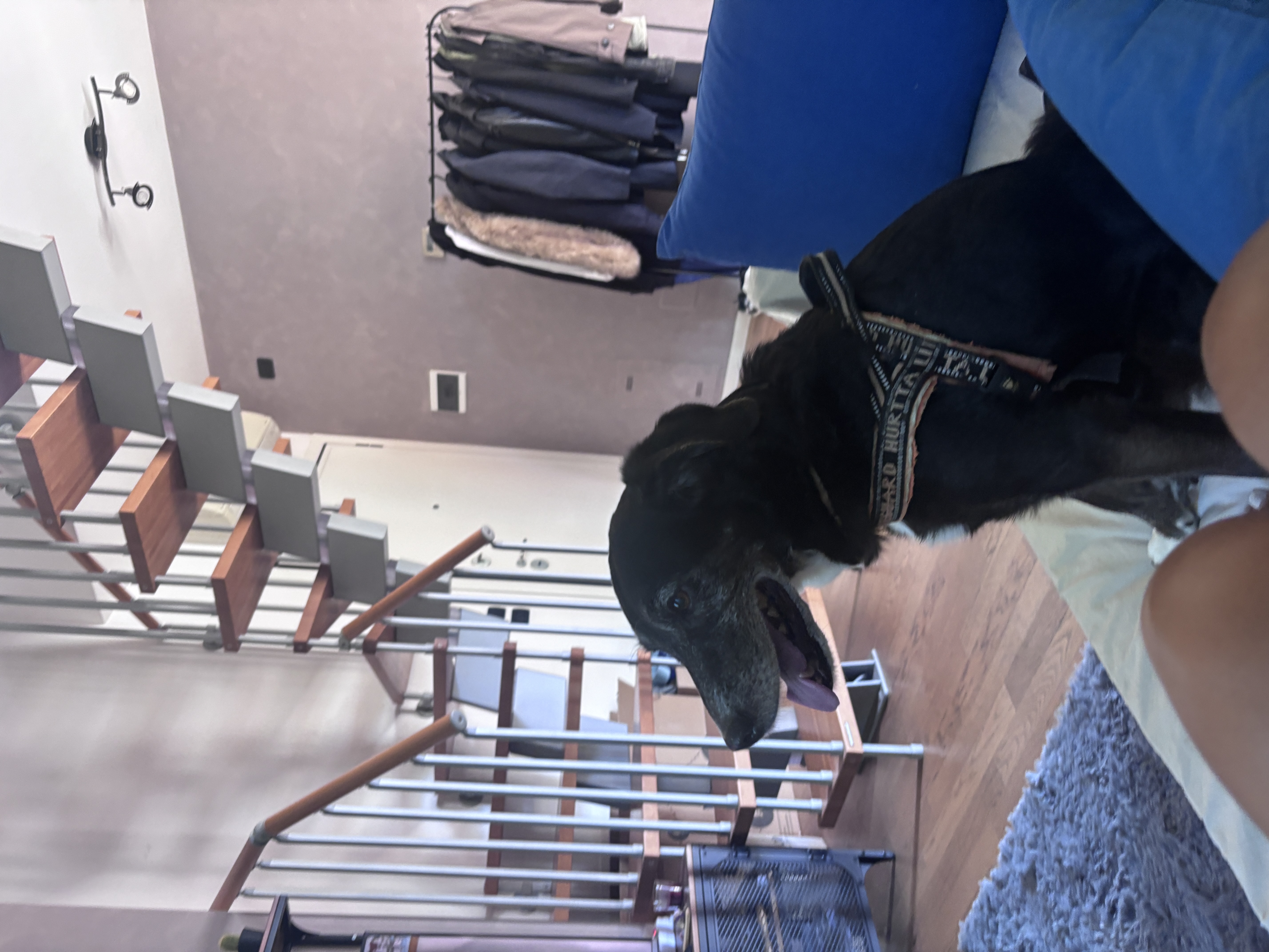 image-17