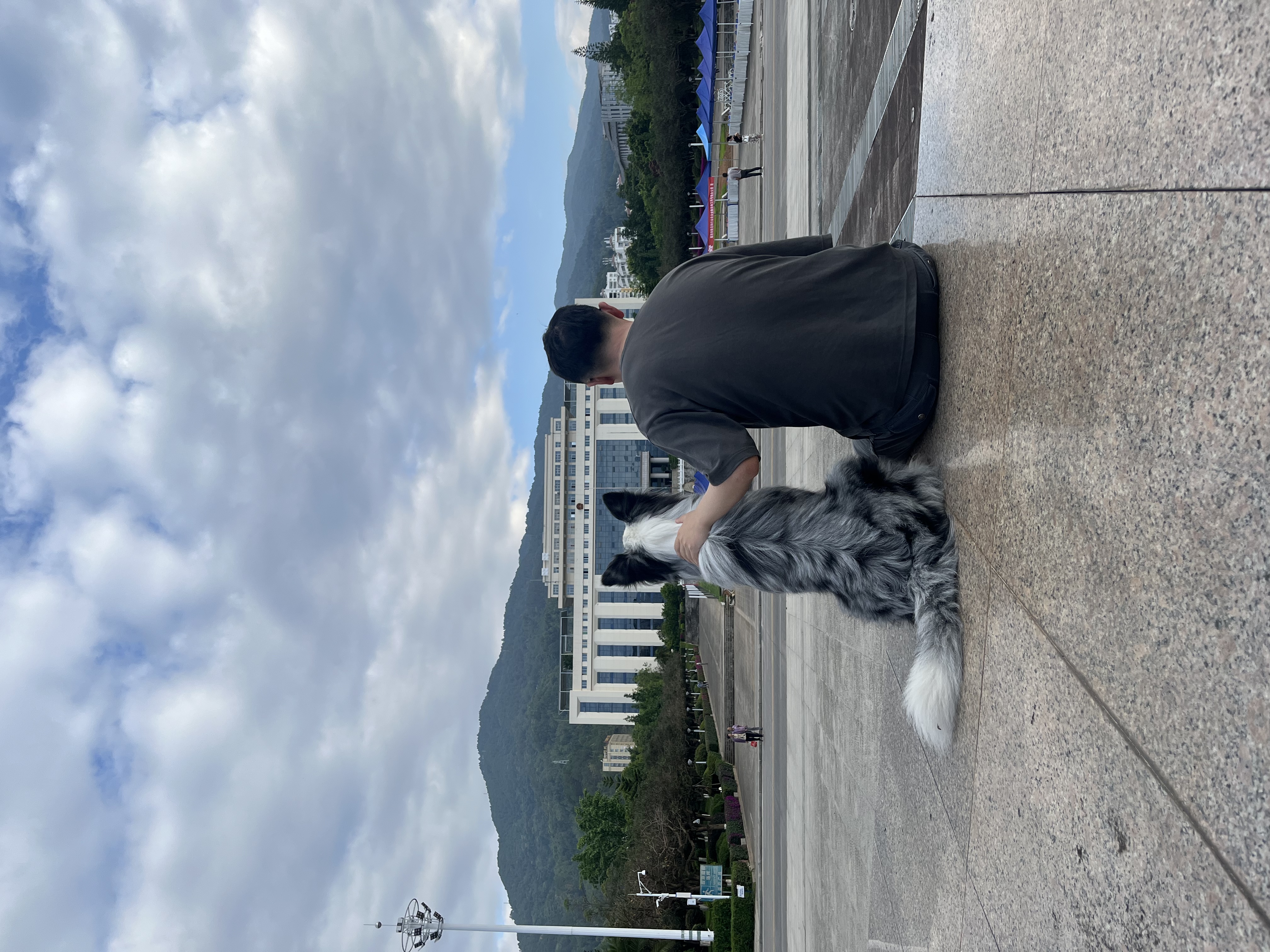 image-4