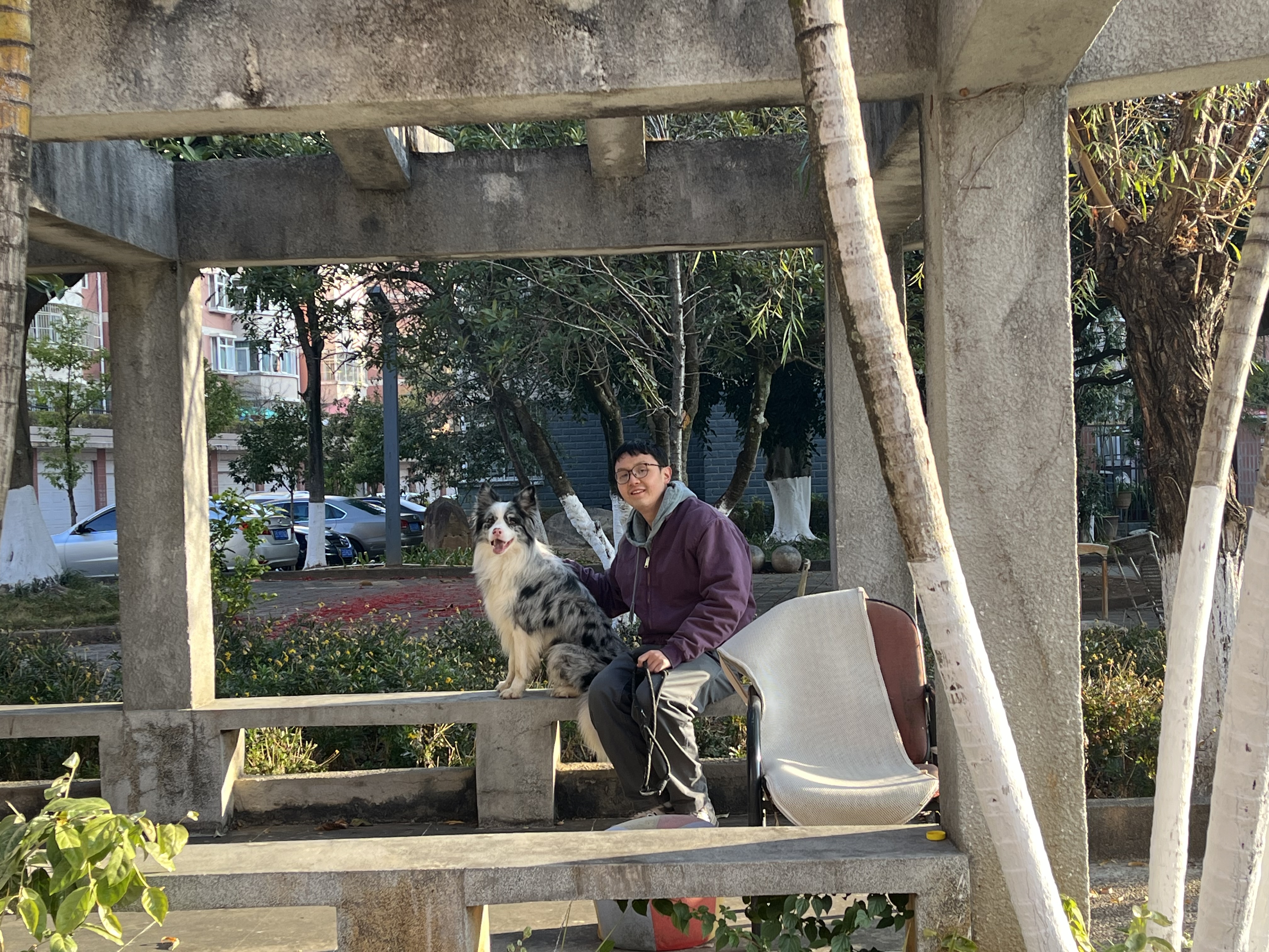 image-8