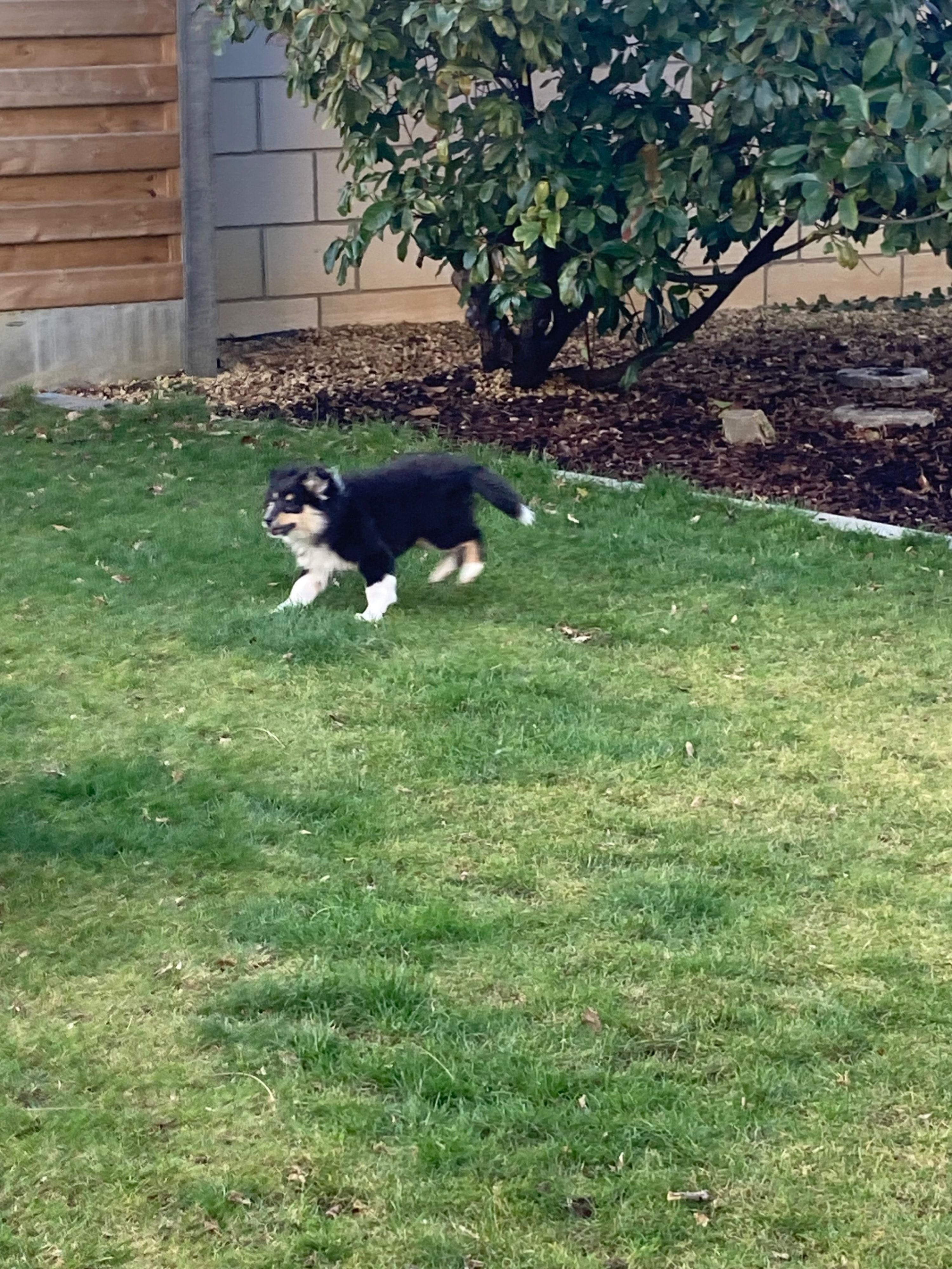 image-10