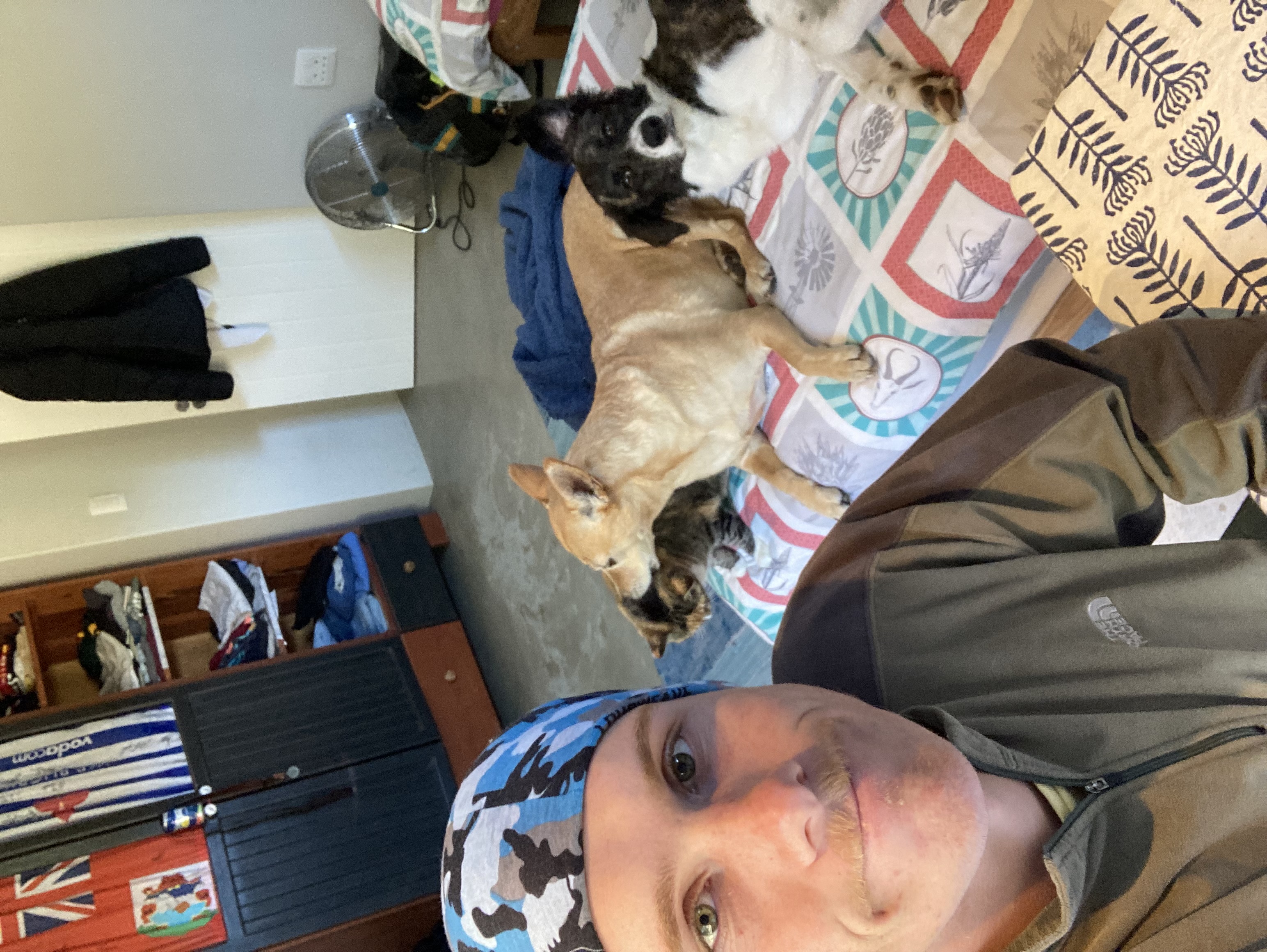 image-6