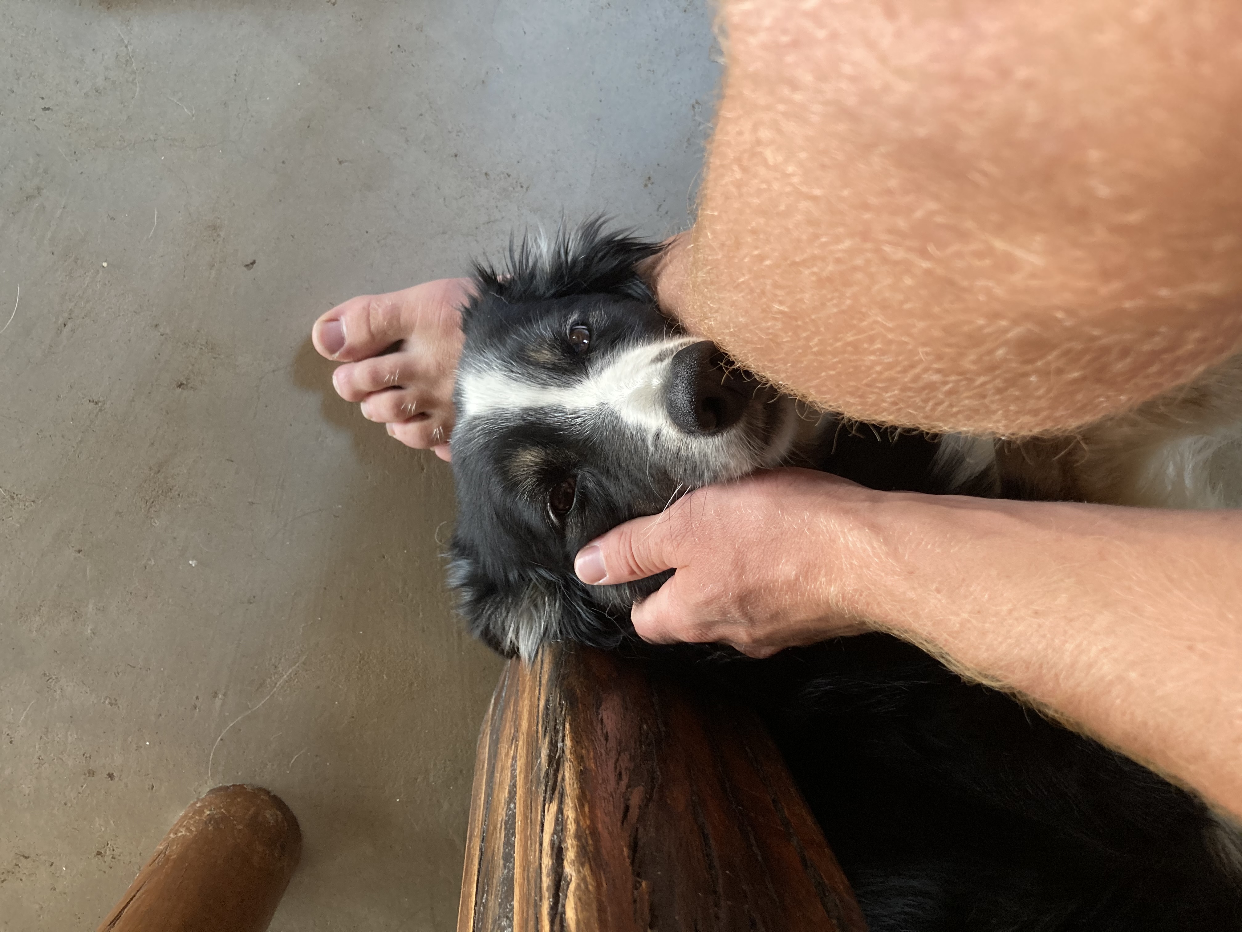 image-7