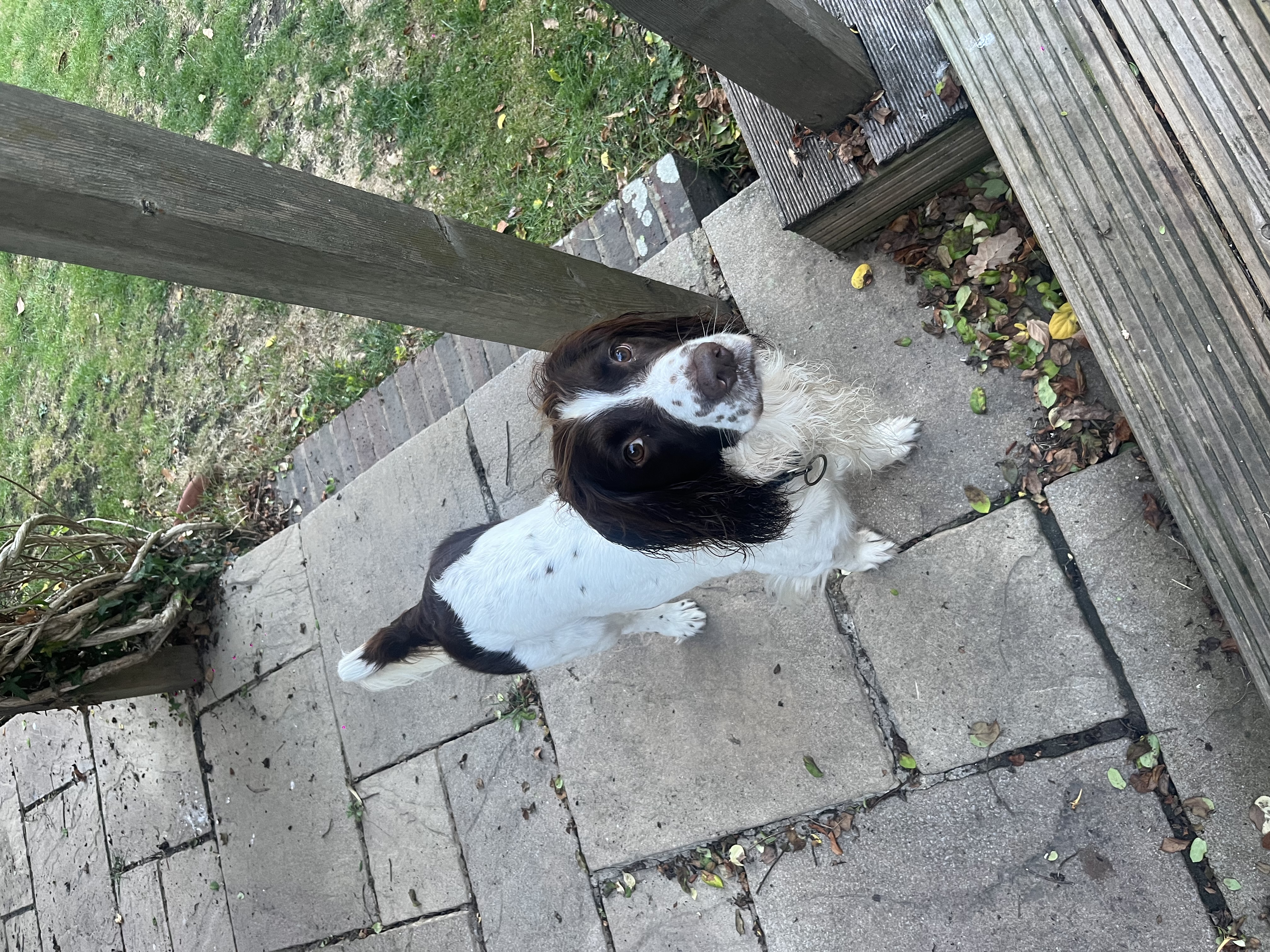image-8