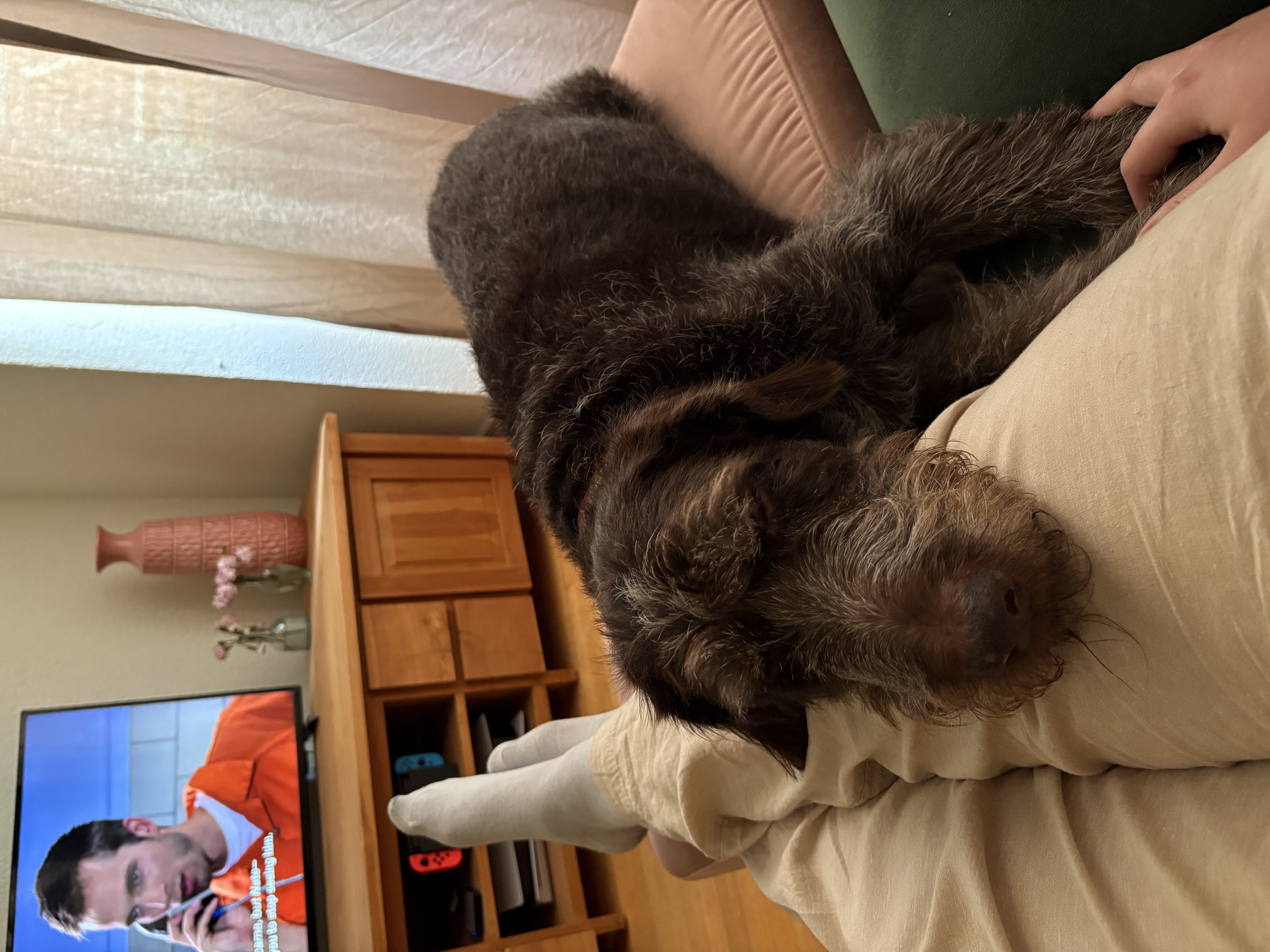 image-16