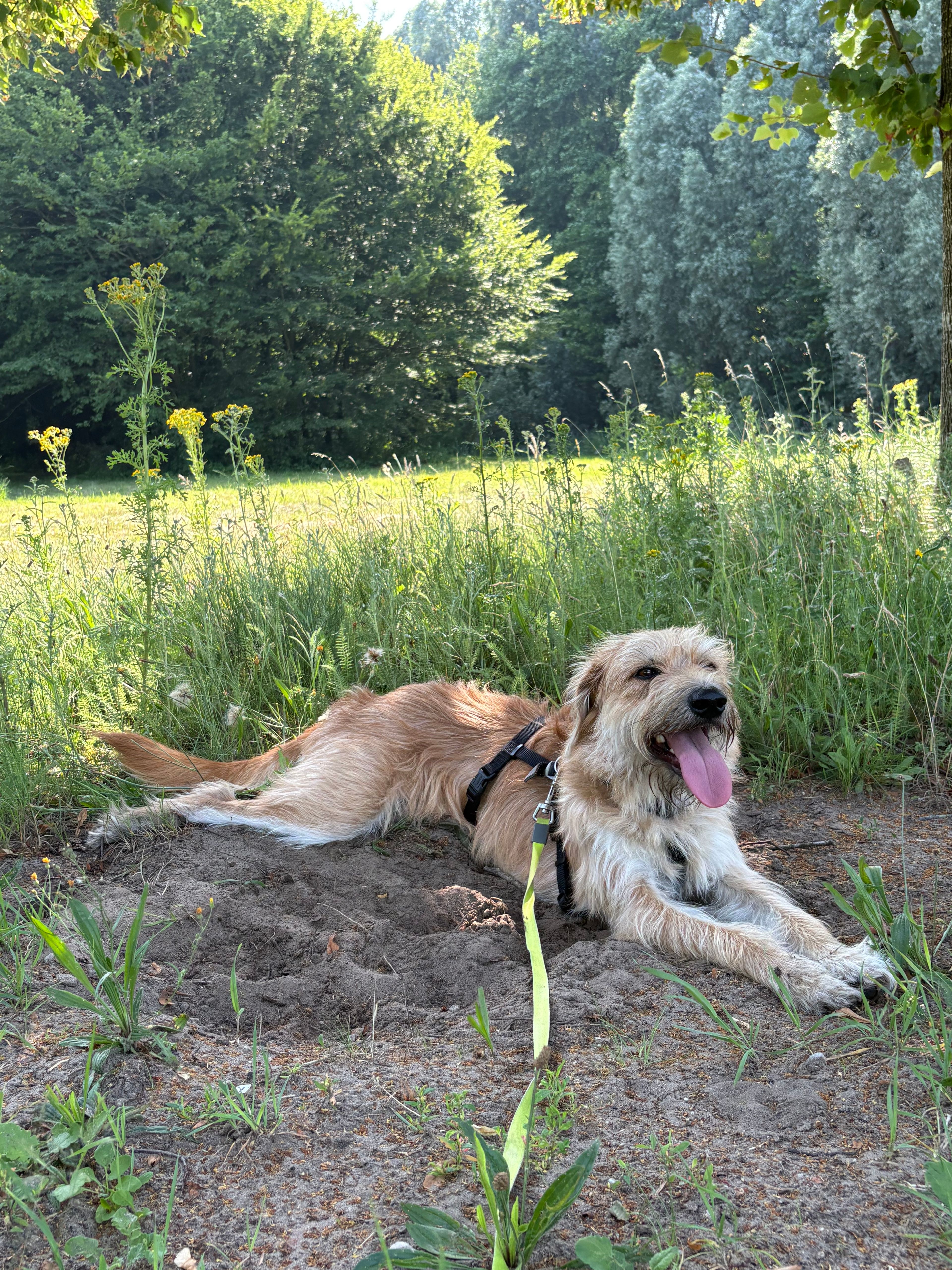image-9