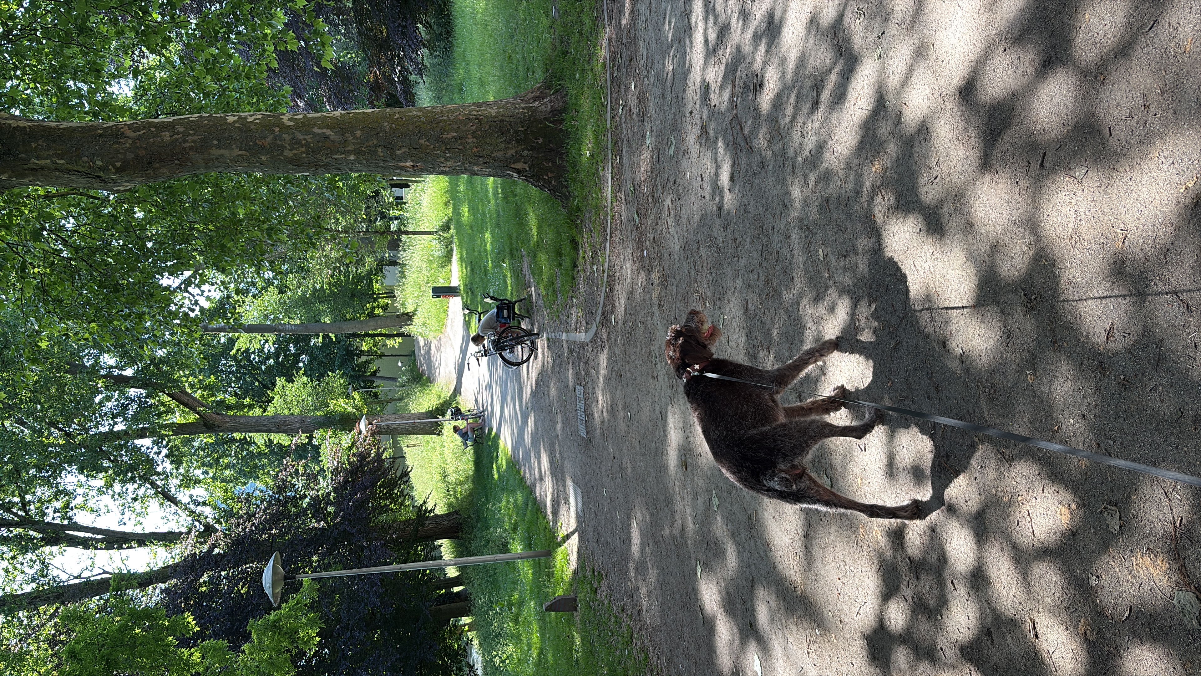 image-14