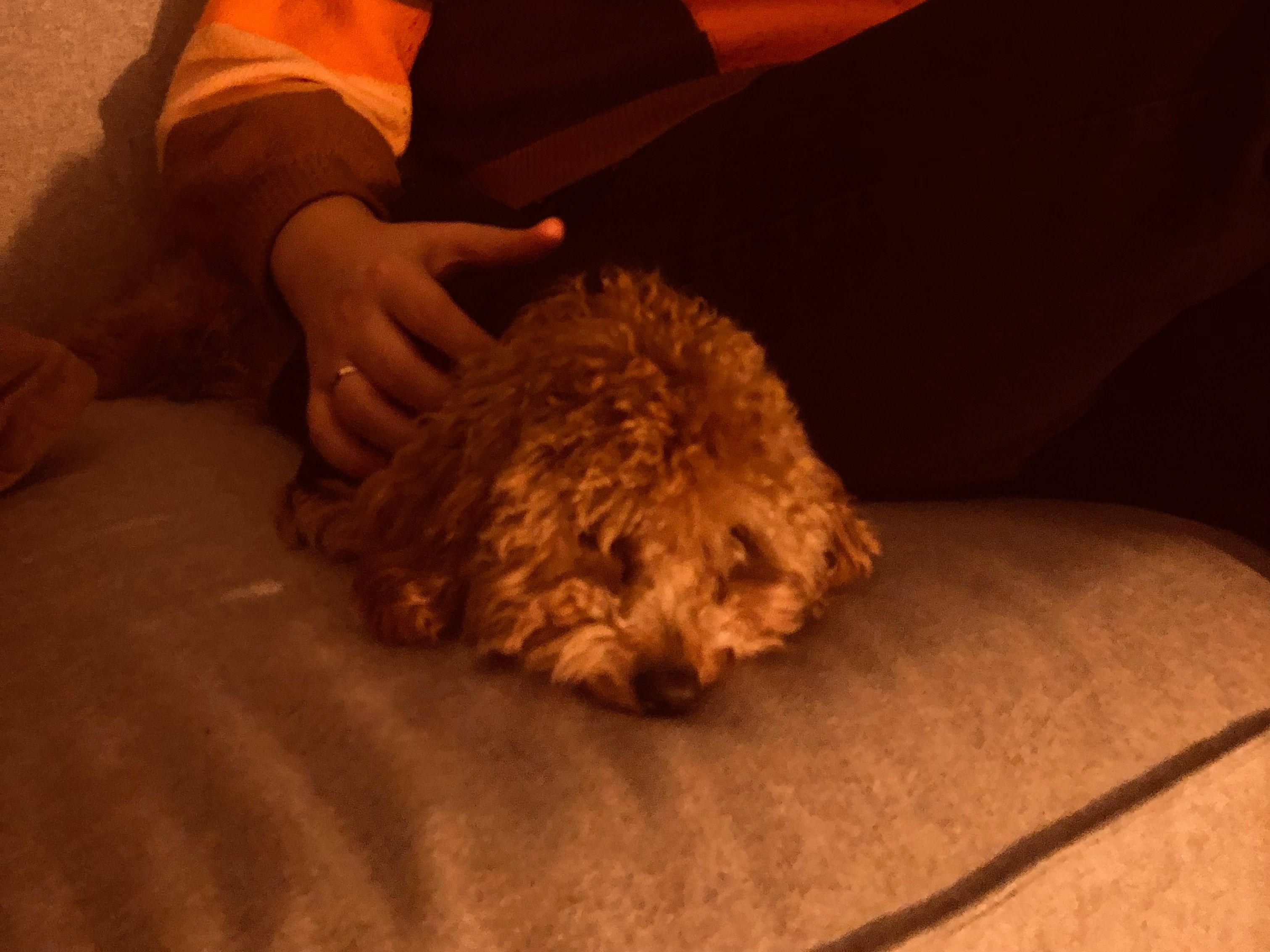 image-7