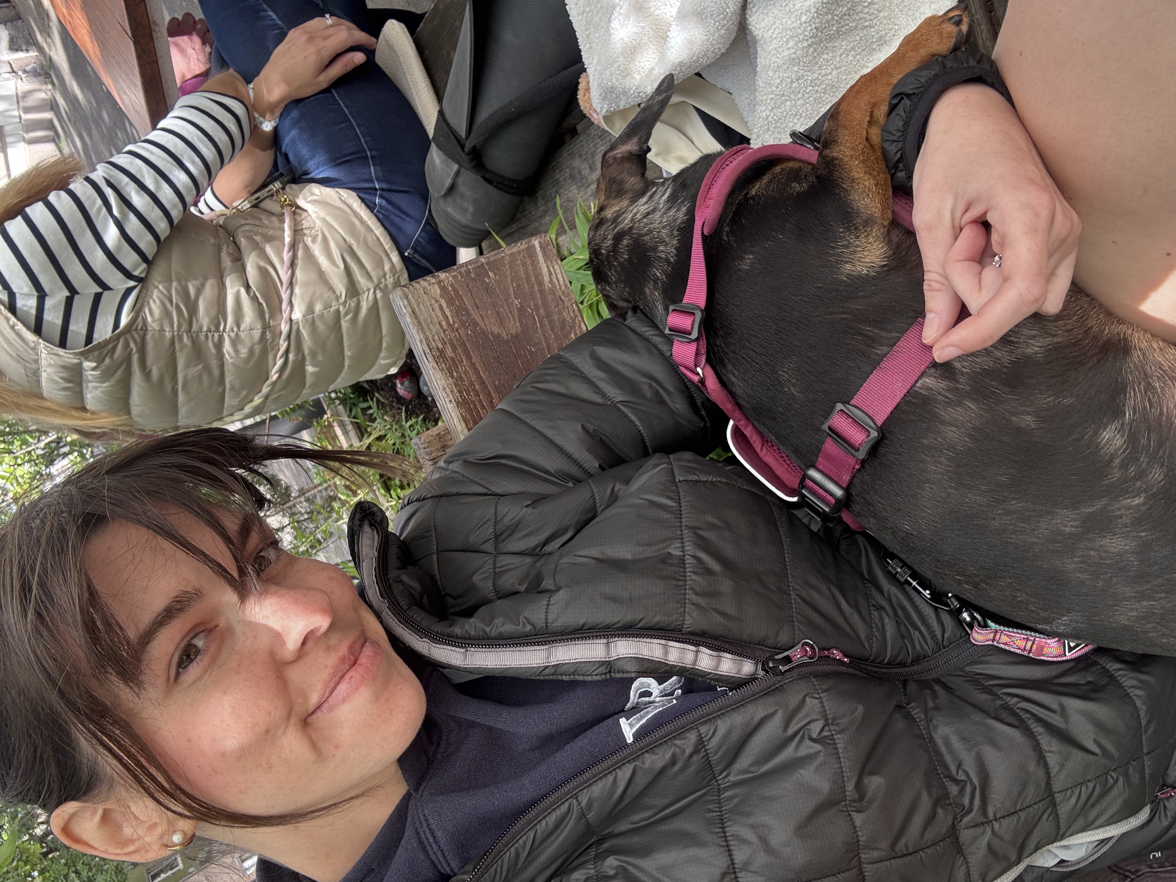 image-15