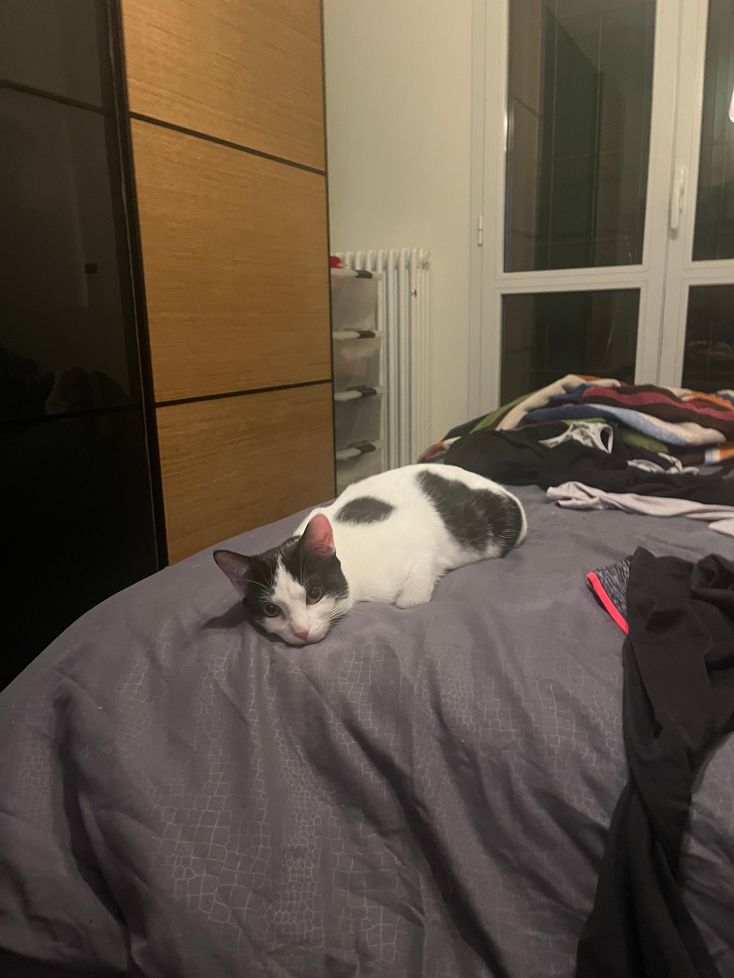 image-7