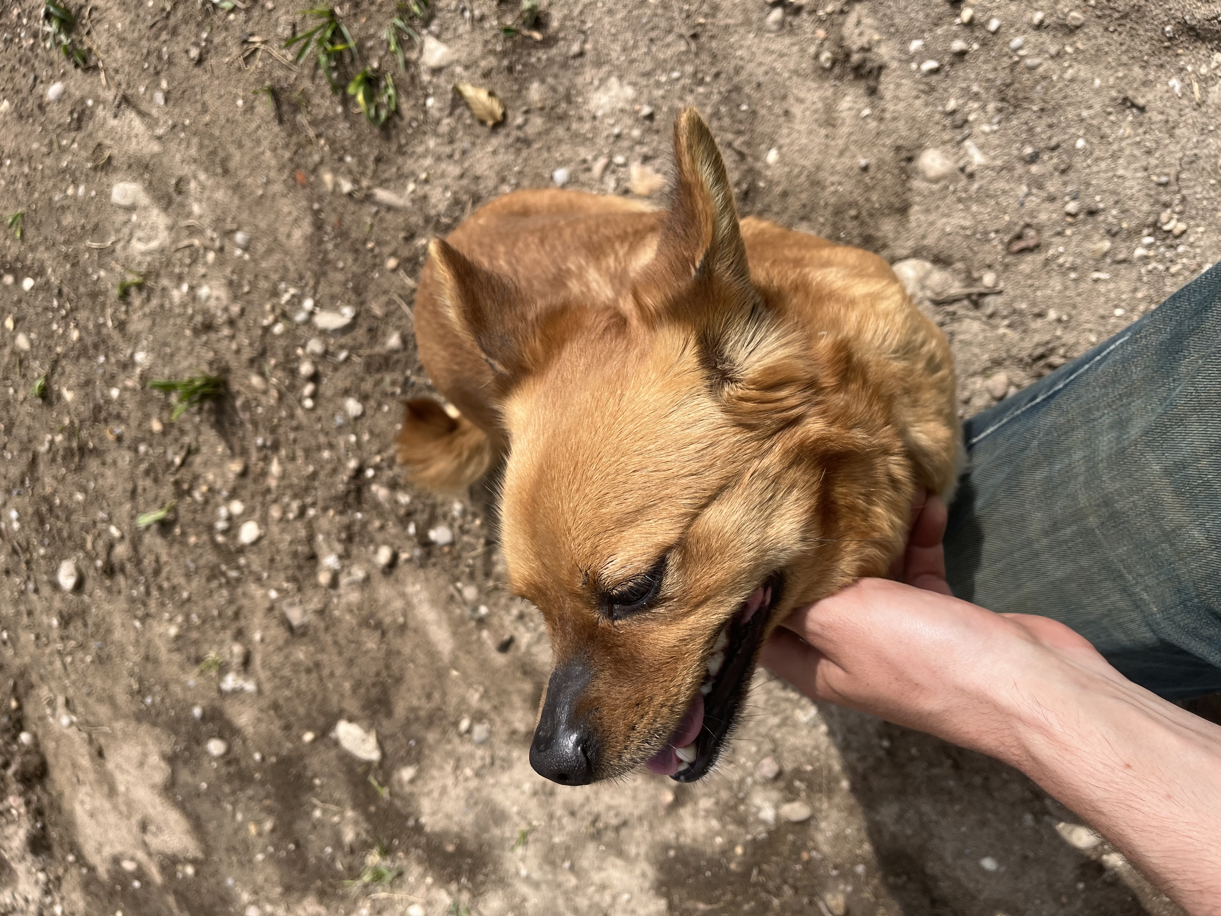 image-10