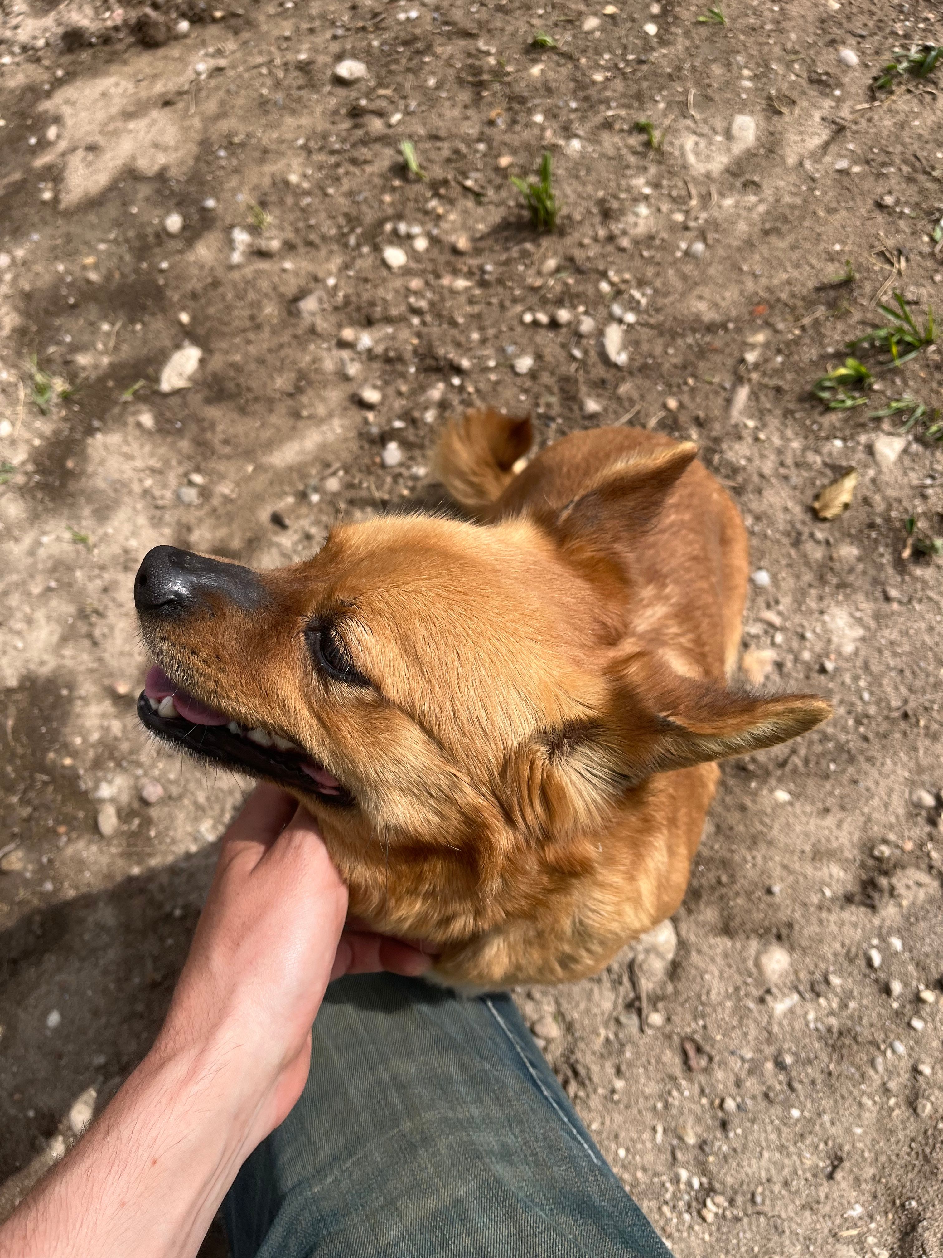 image-10