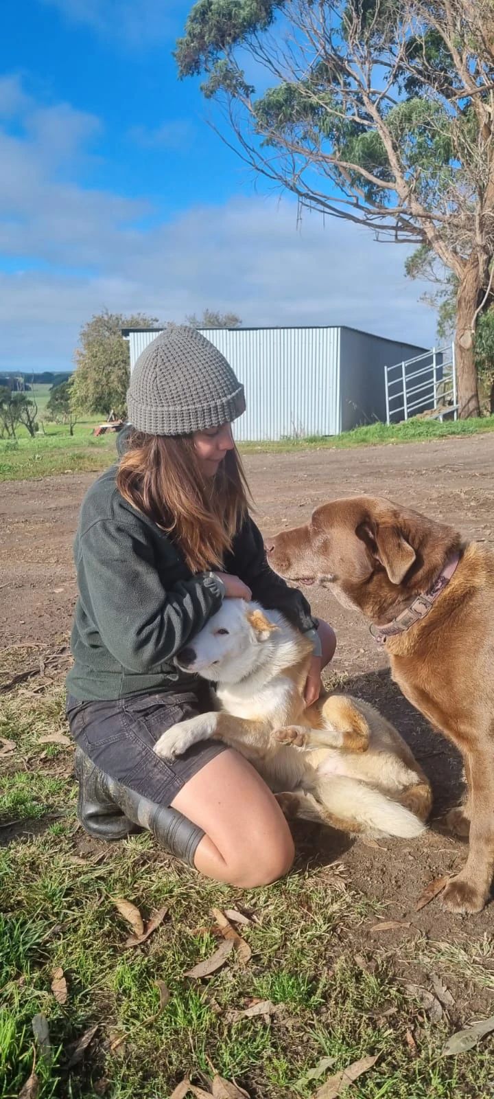 image-6