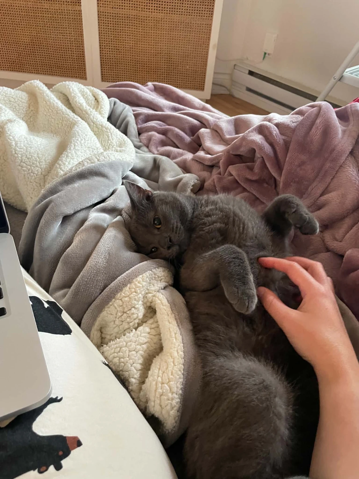 image-9