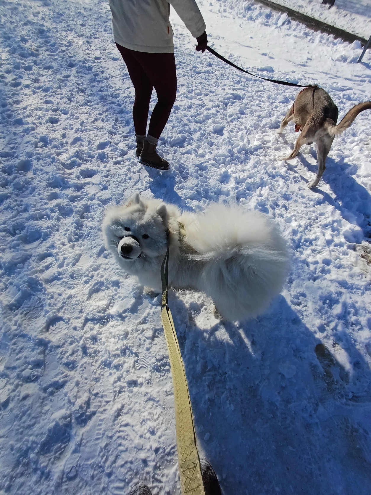 image-10