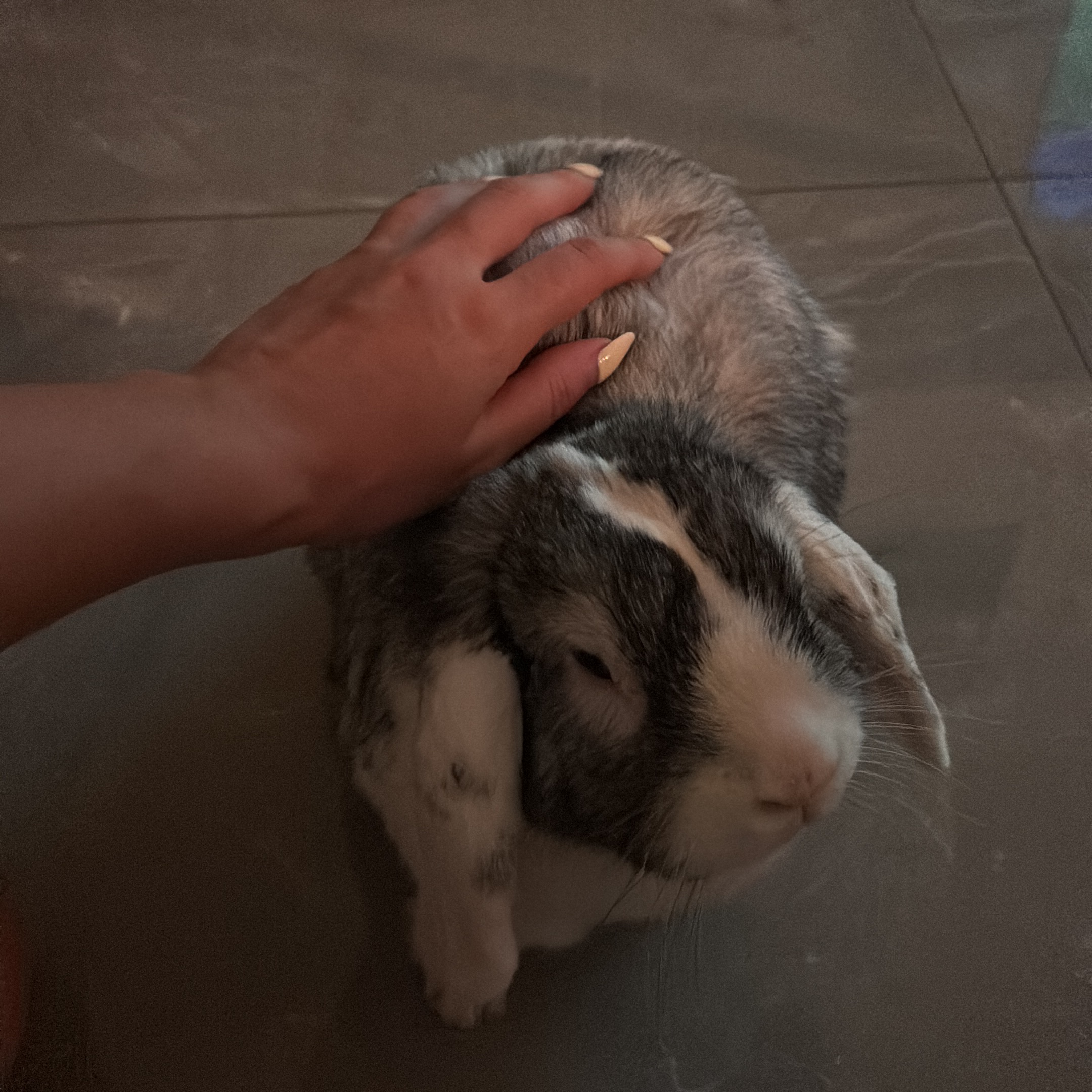 Franchina