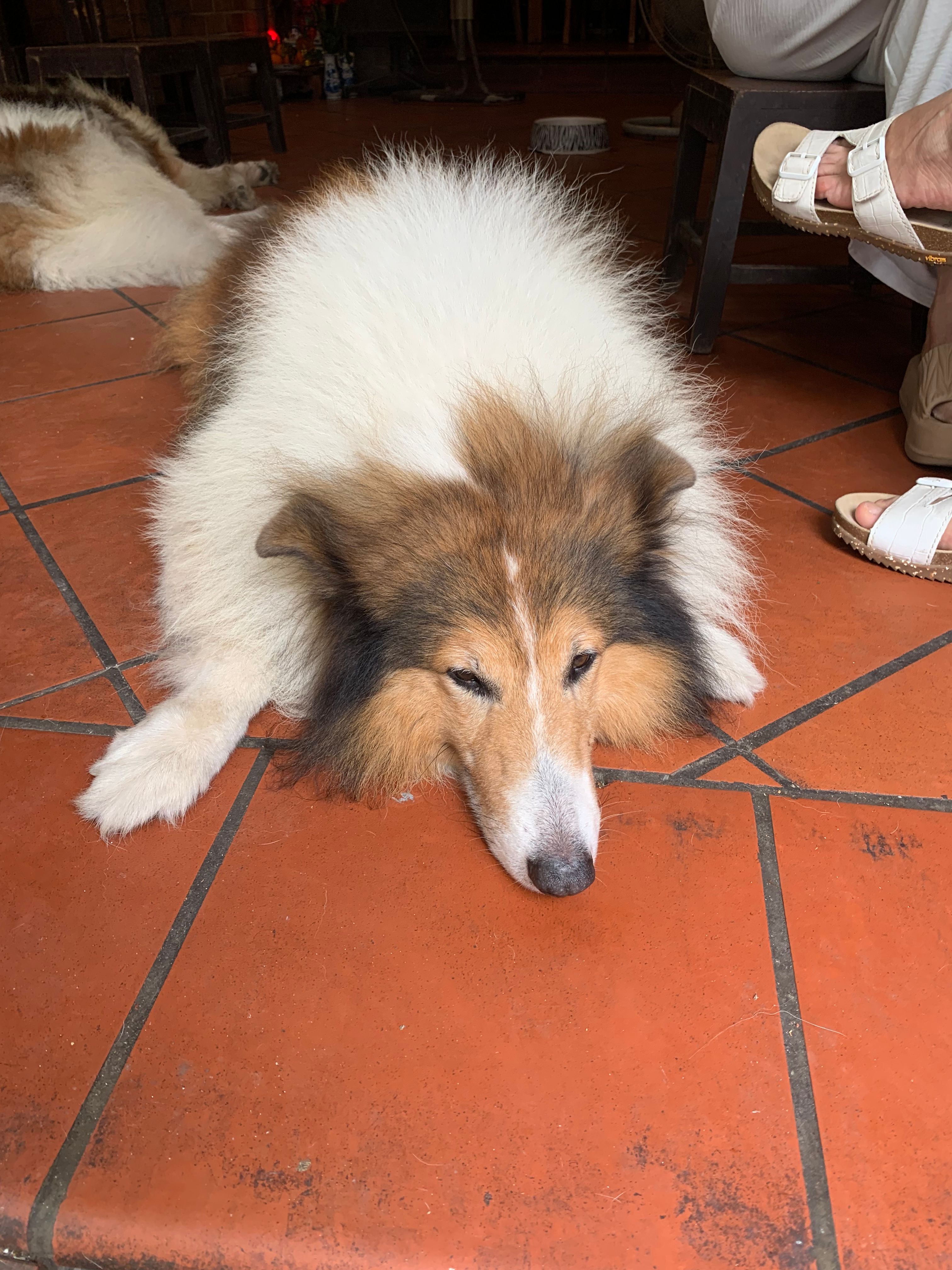 image-11
