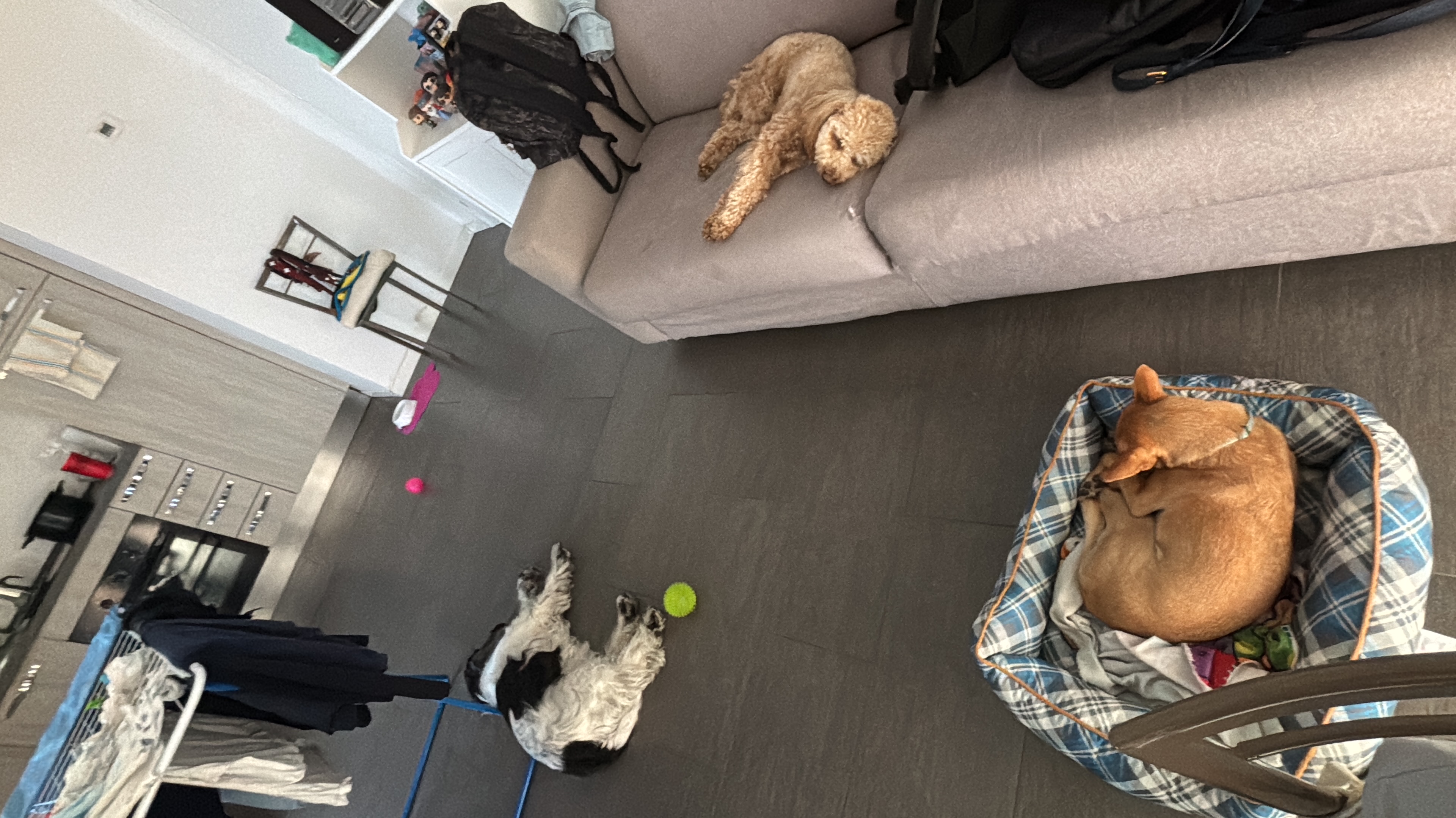image-9