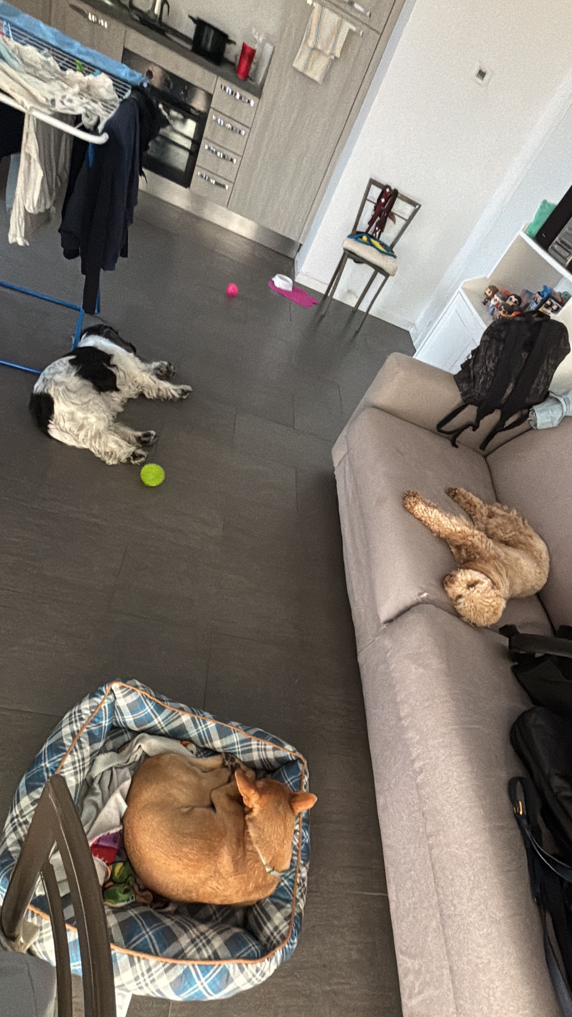 image-9