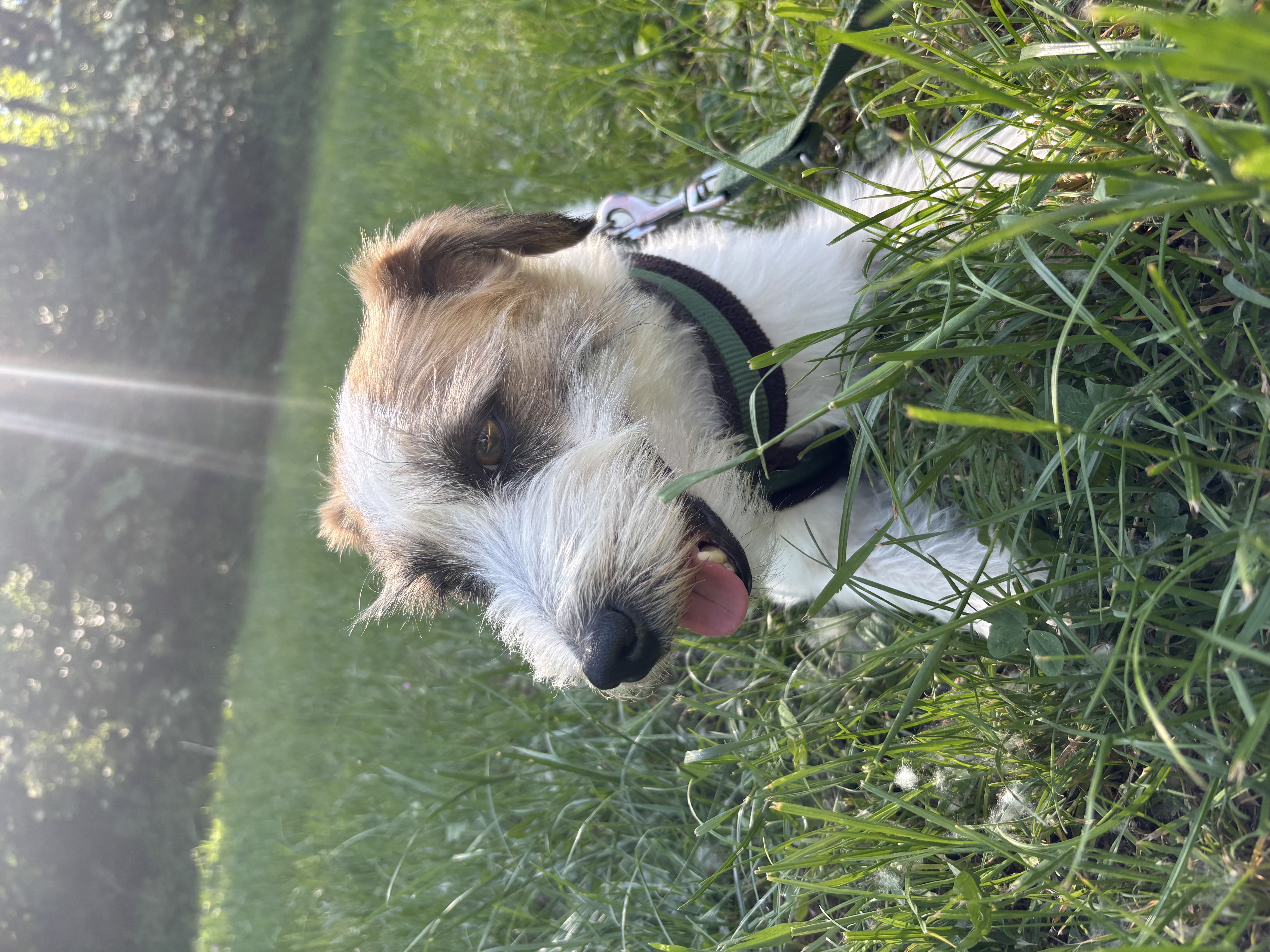 image-9