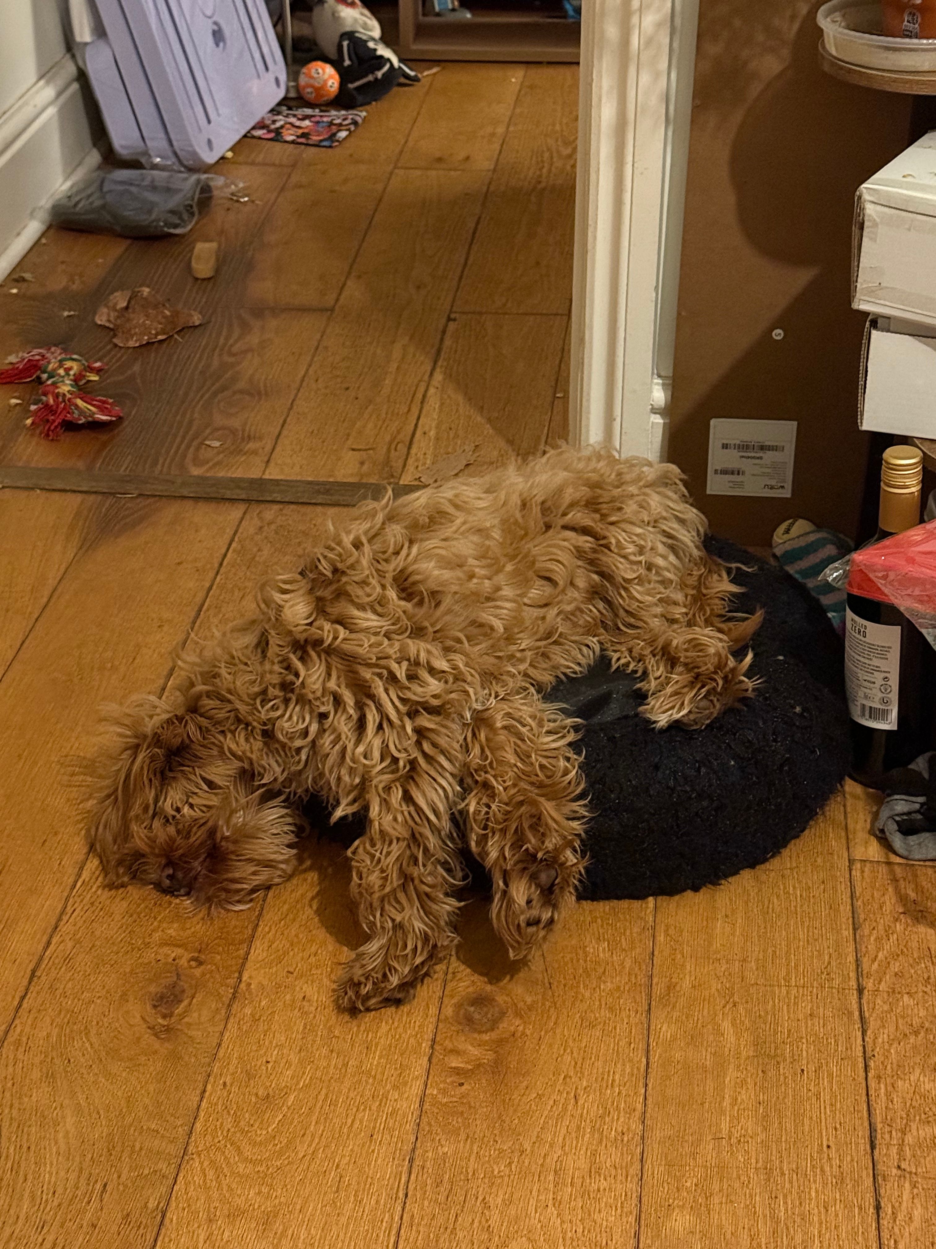 image-9