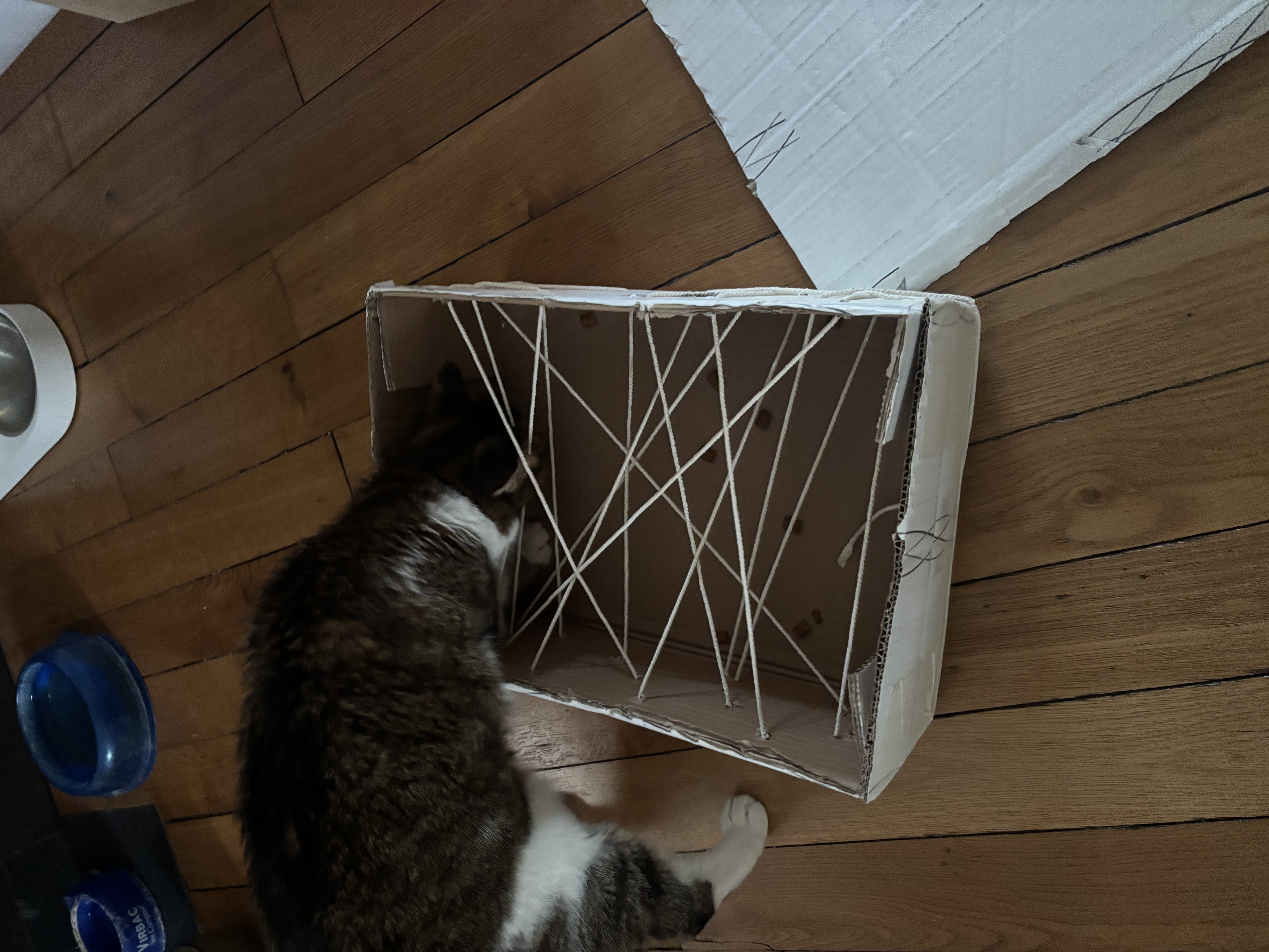 image-17