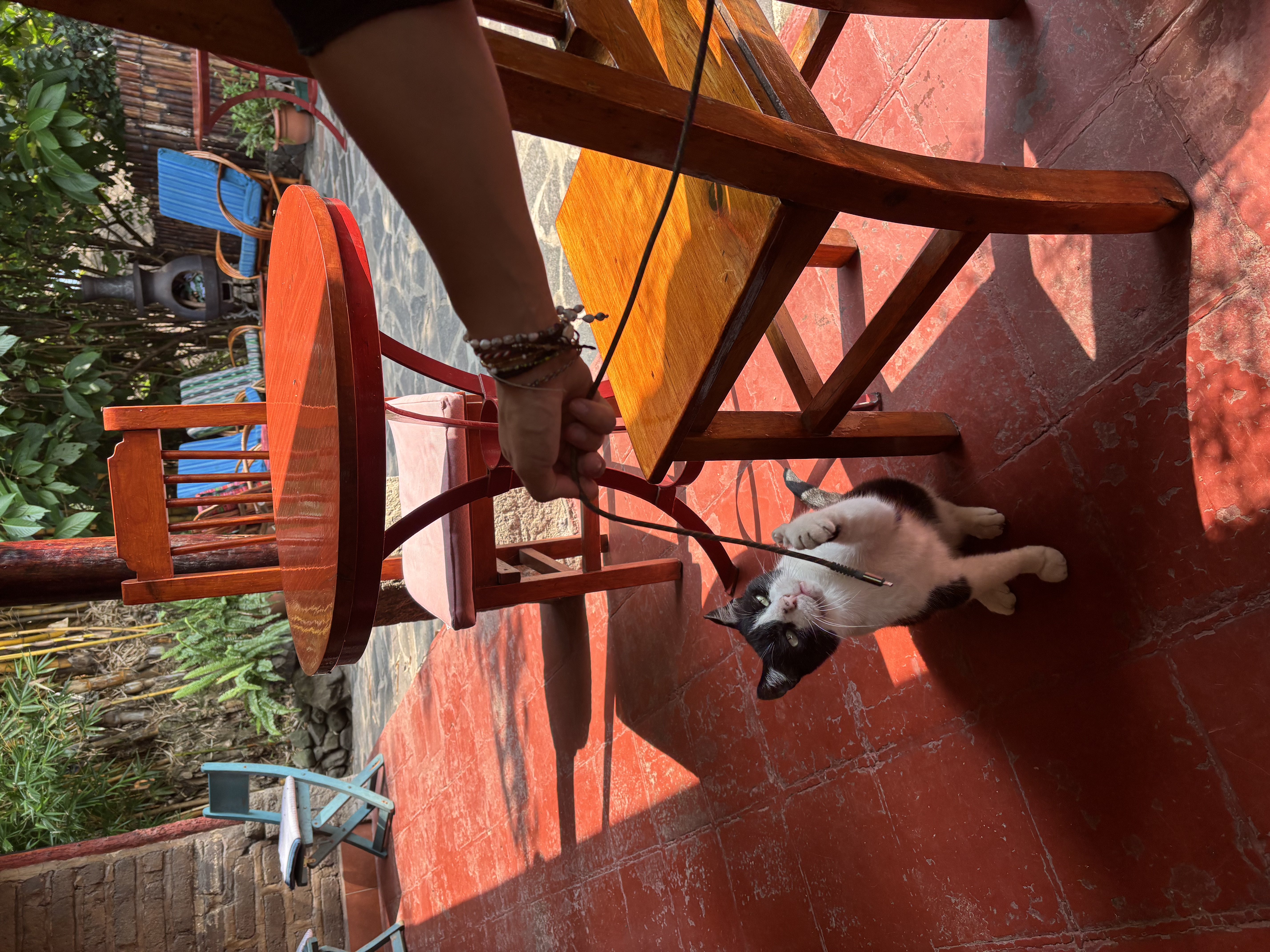 image-7