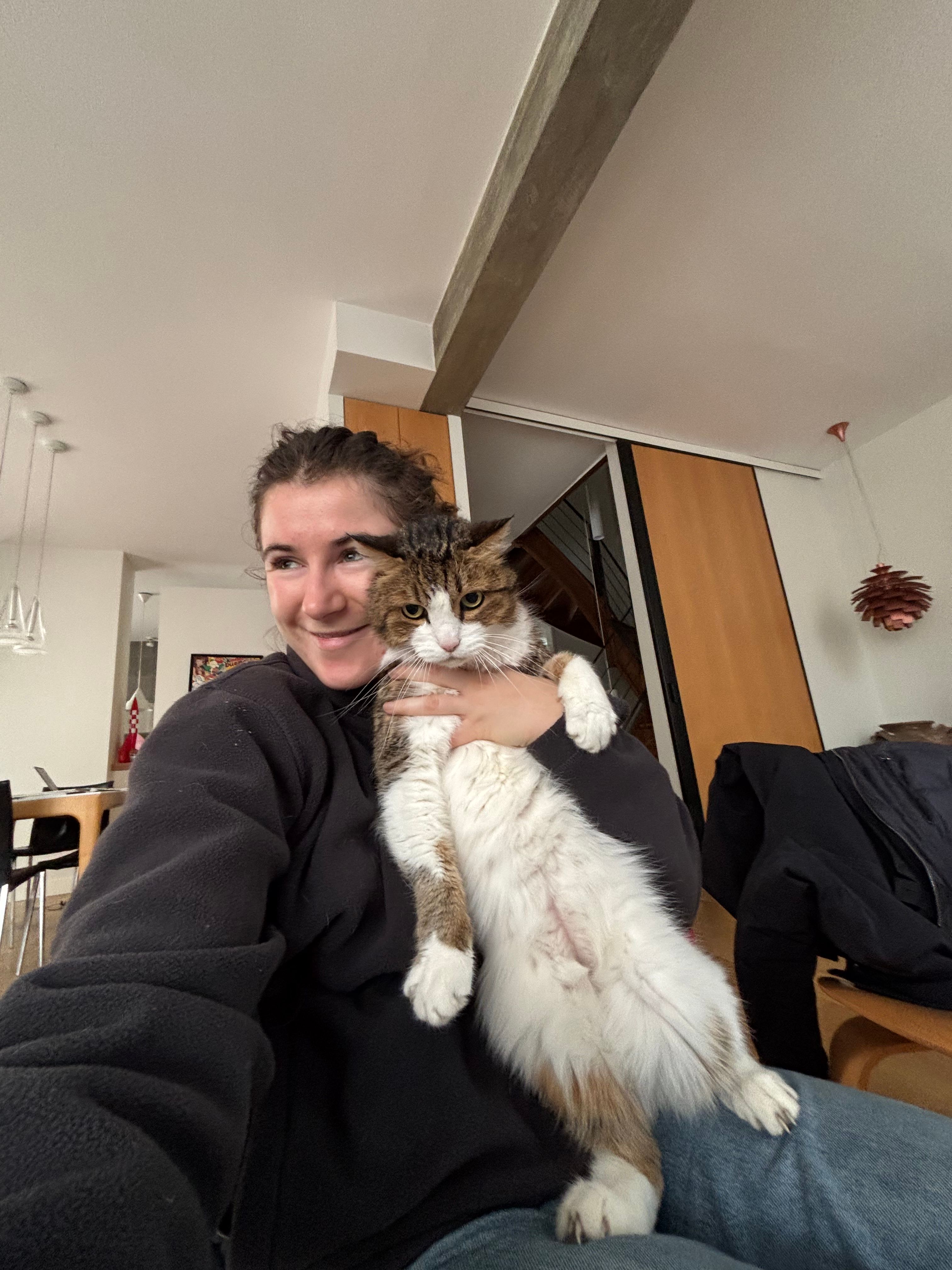 image-15