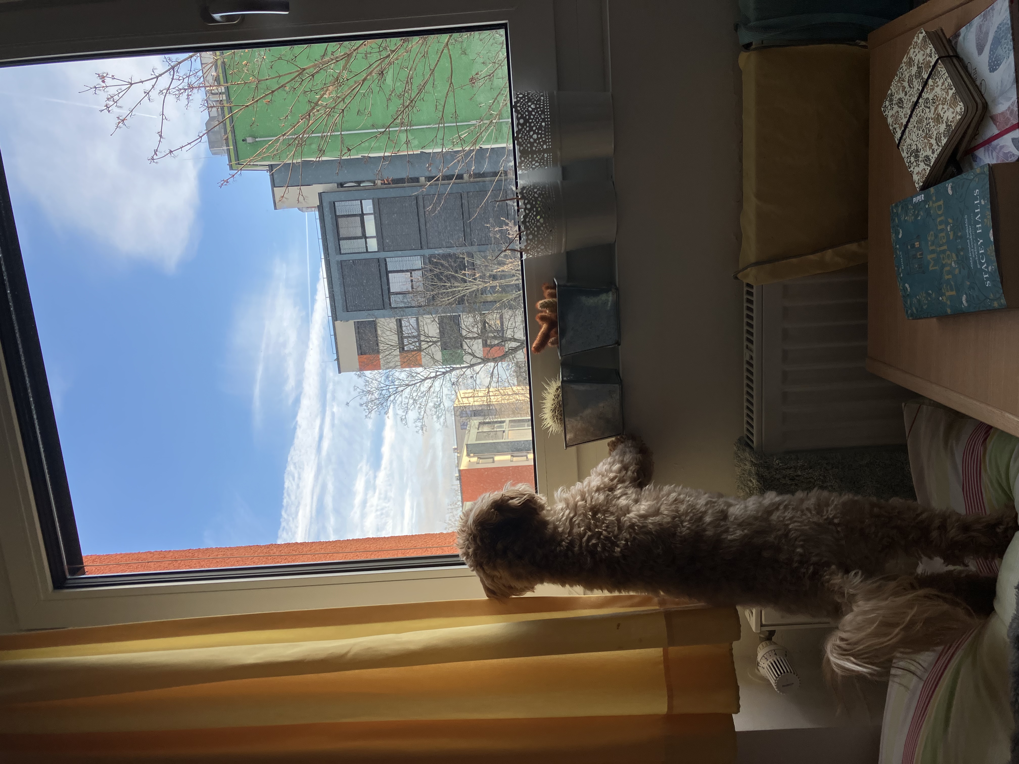 image-13
