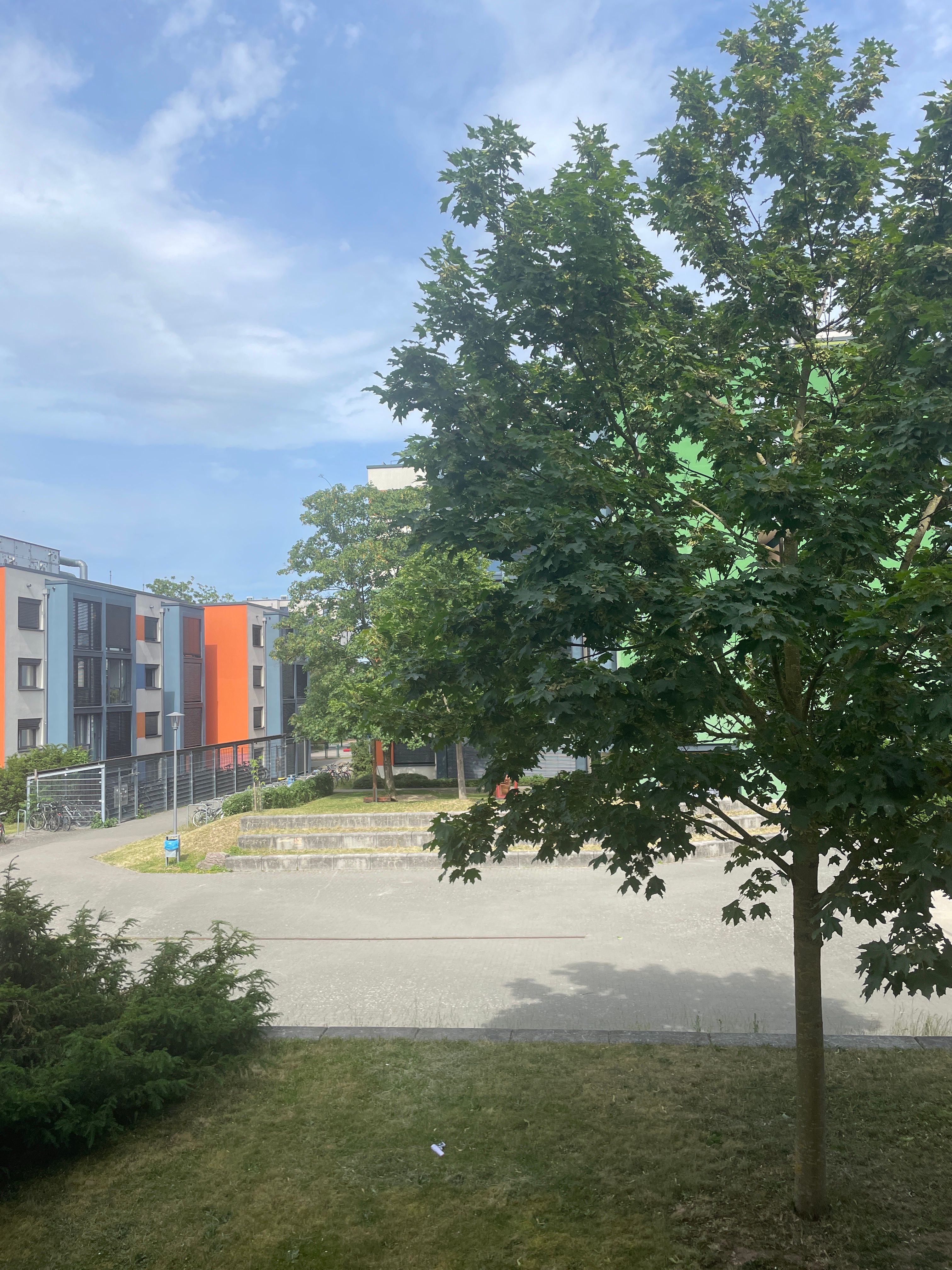 image-12