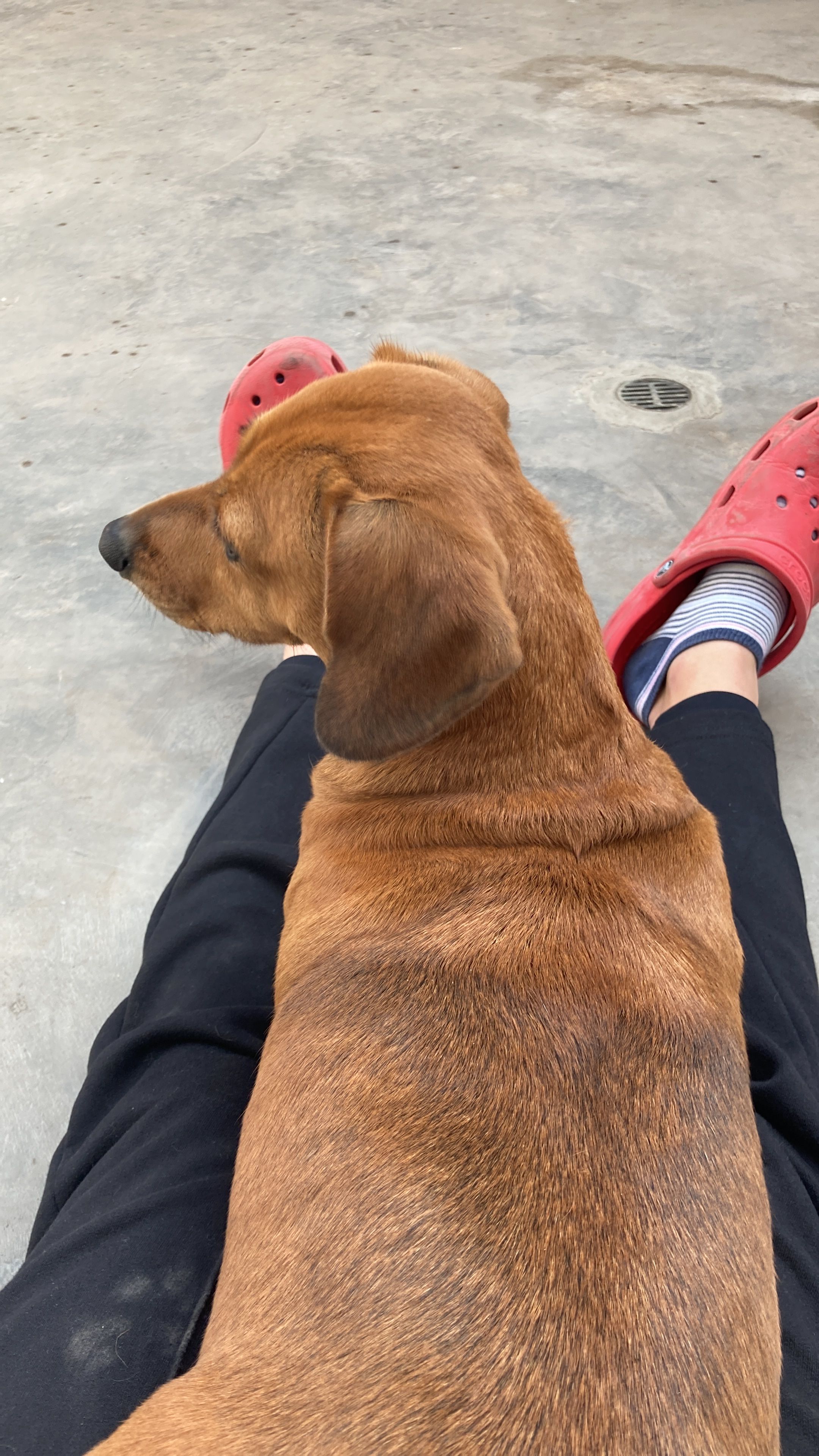image-8