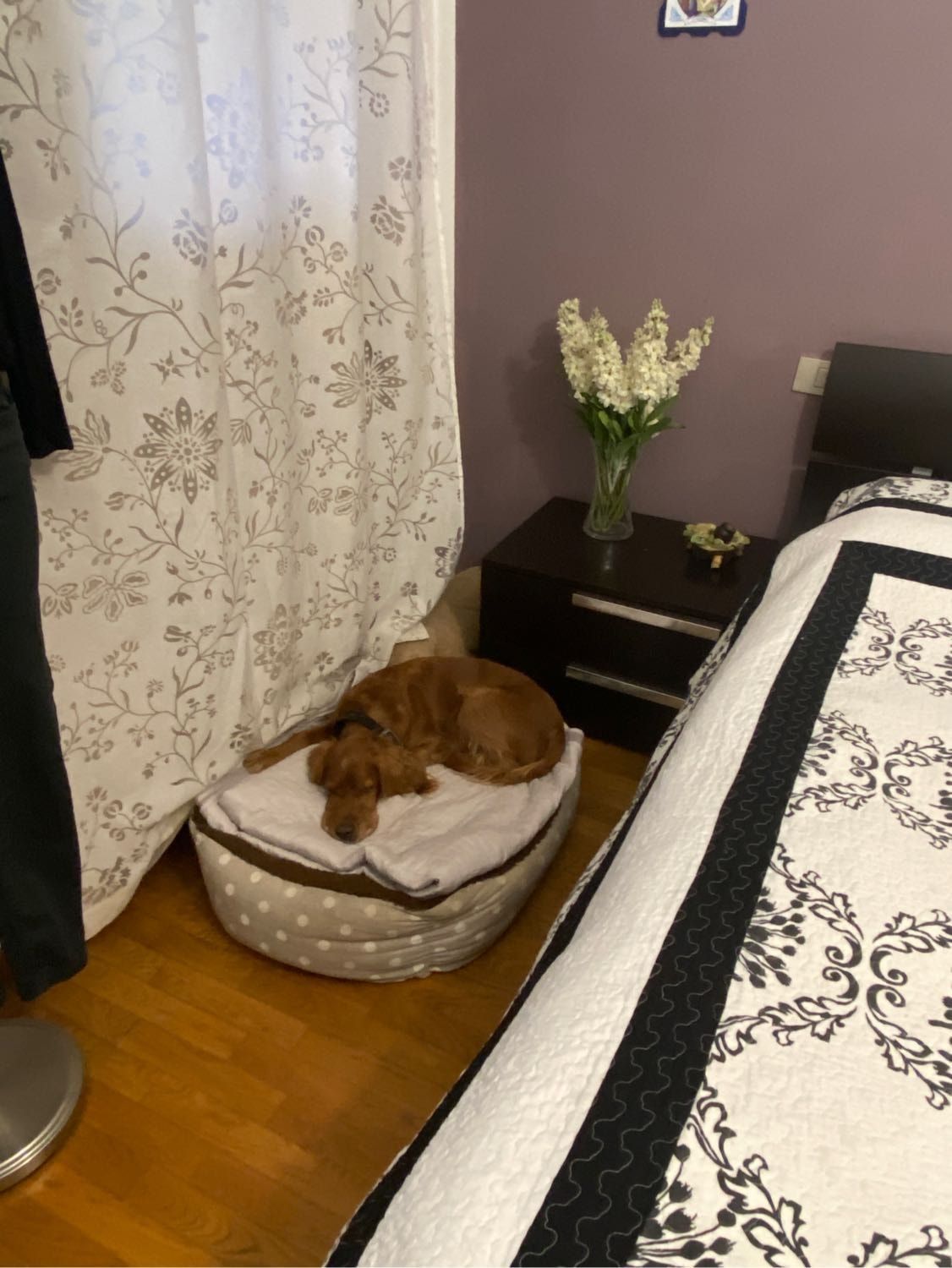 image-21