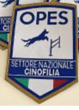 image-66