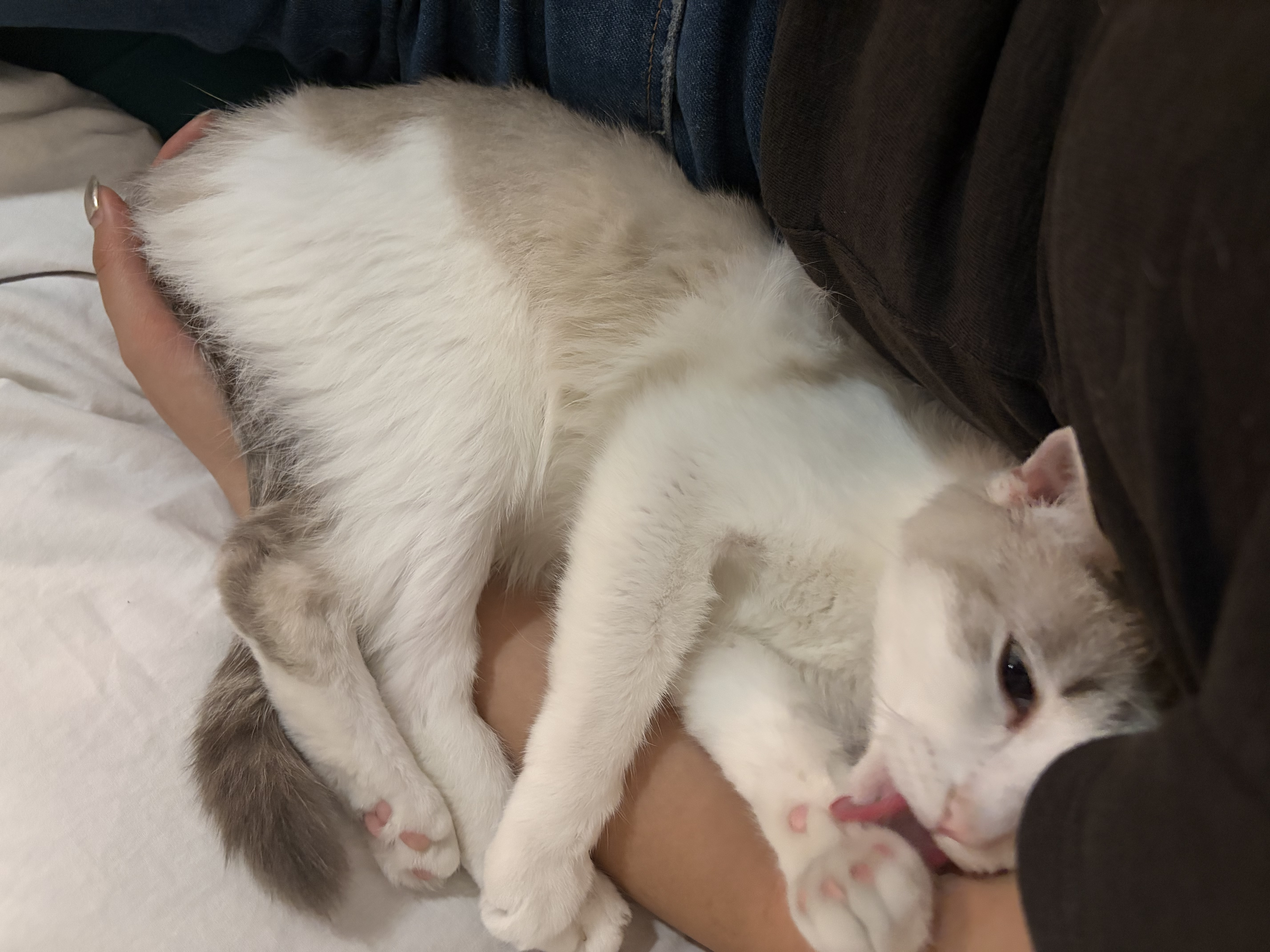 image-8