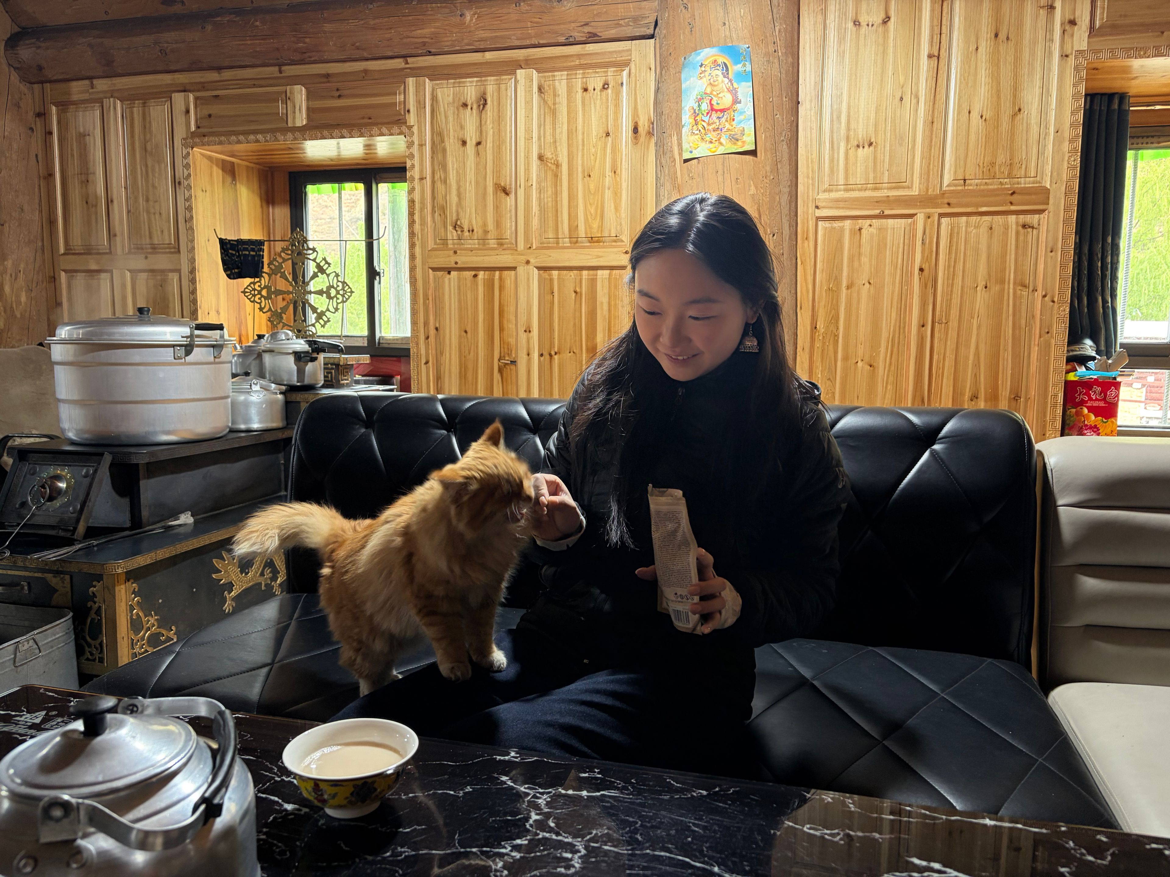 image-4