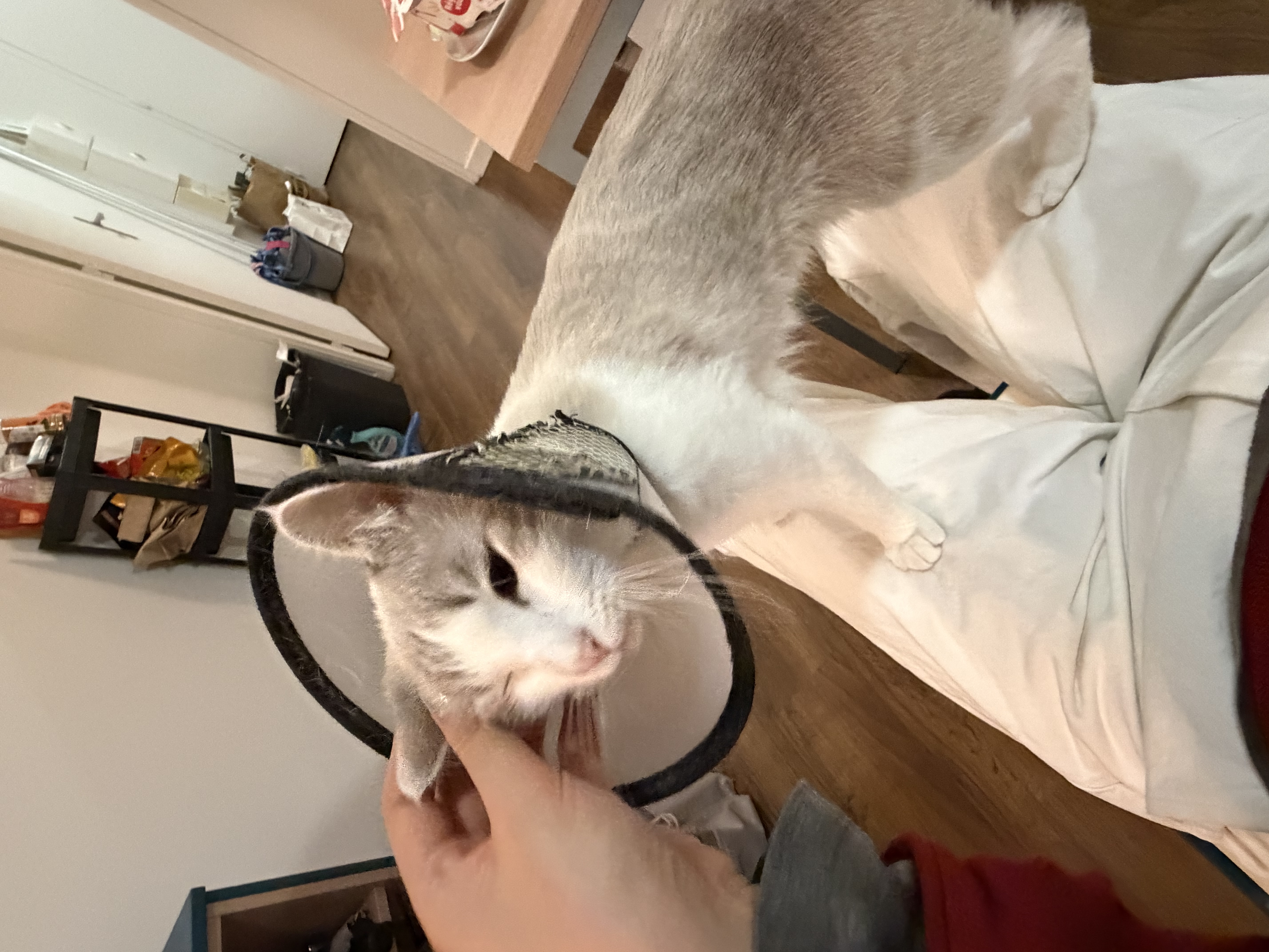 image-10