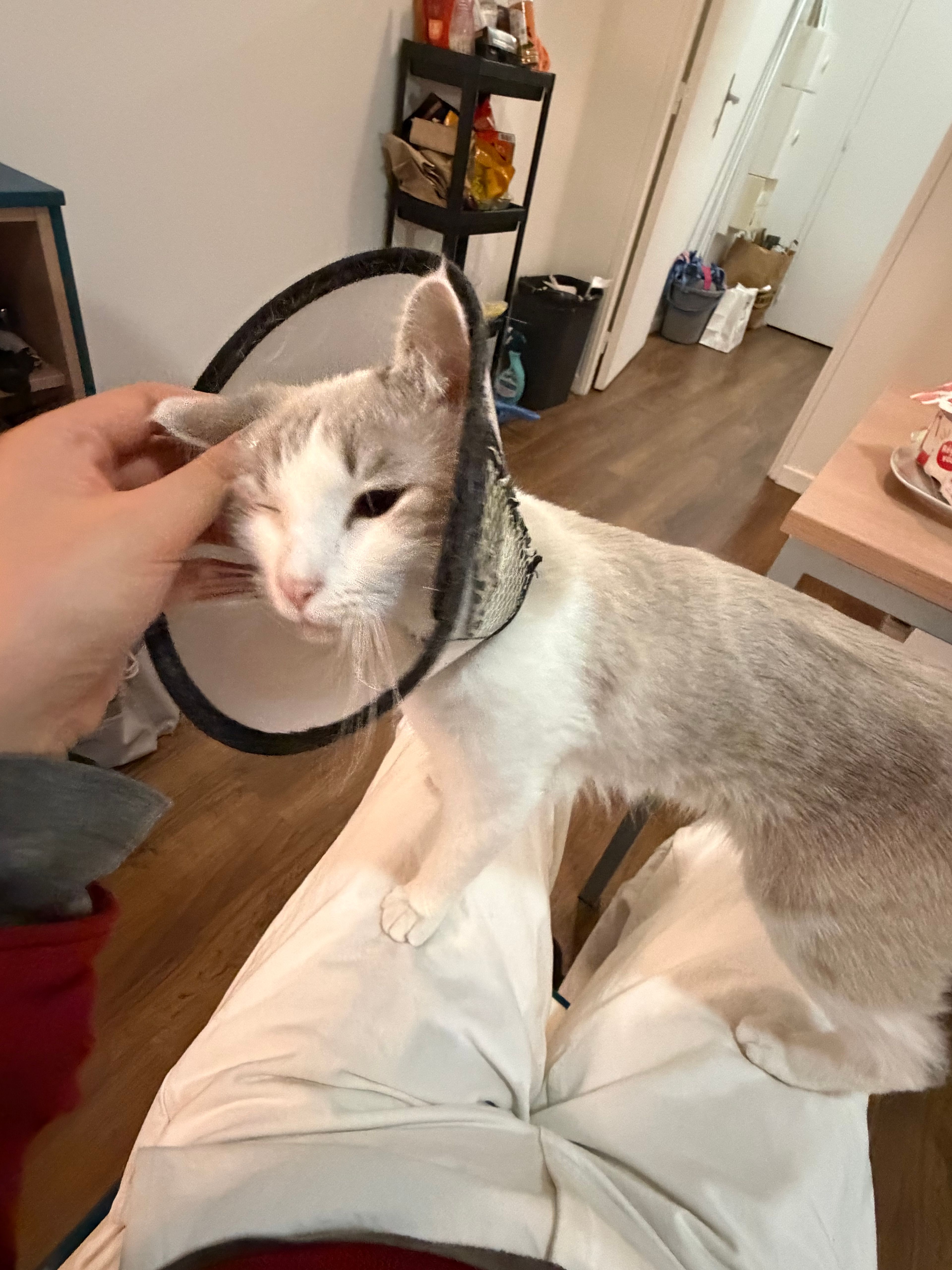 image-10