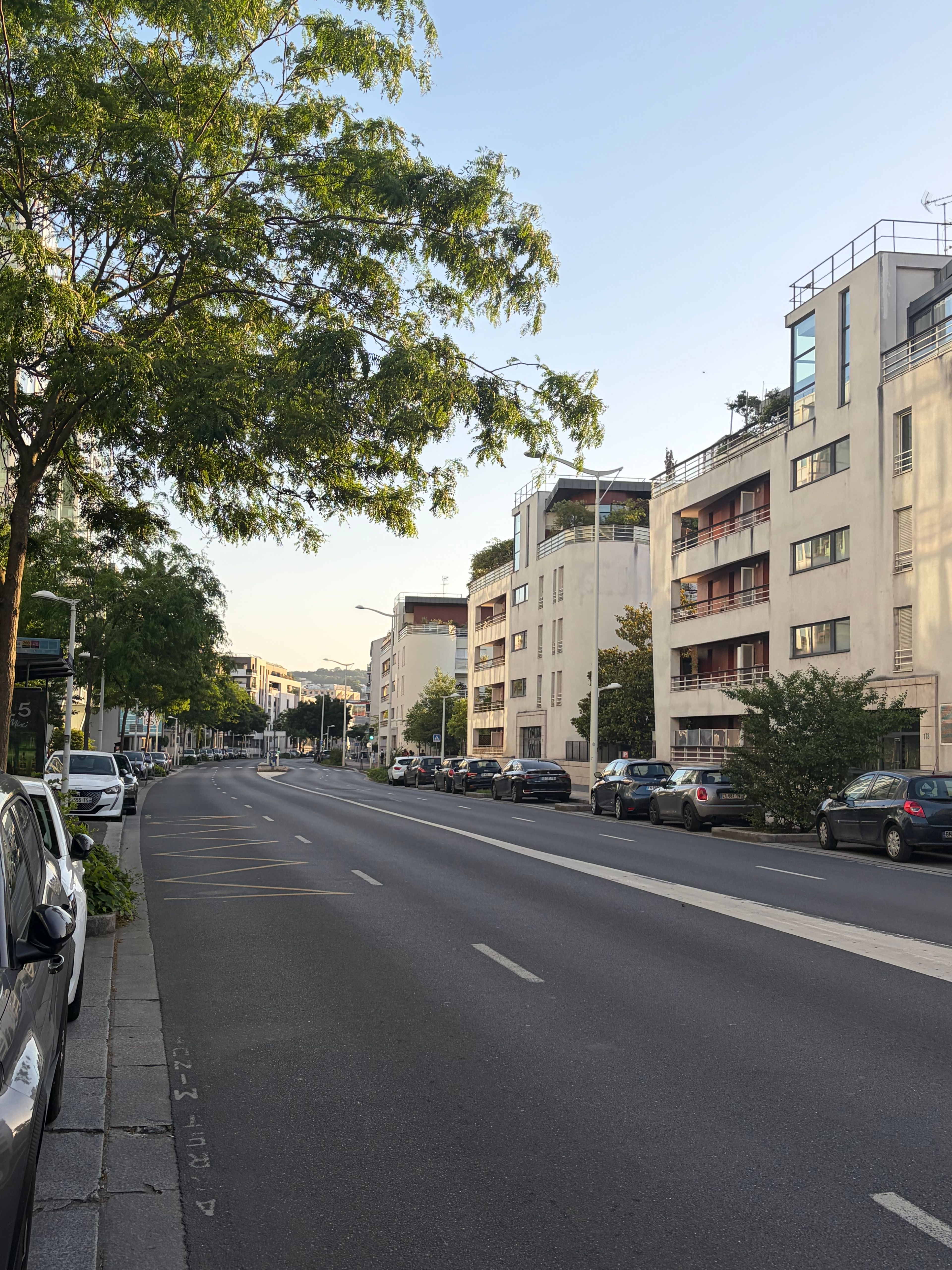 image-19
