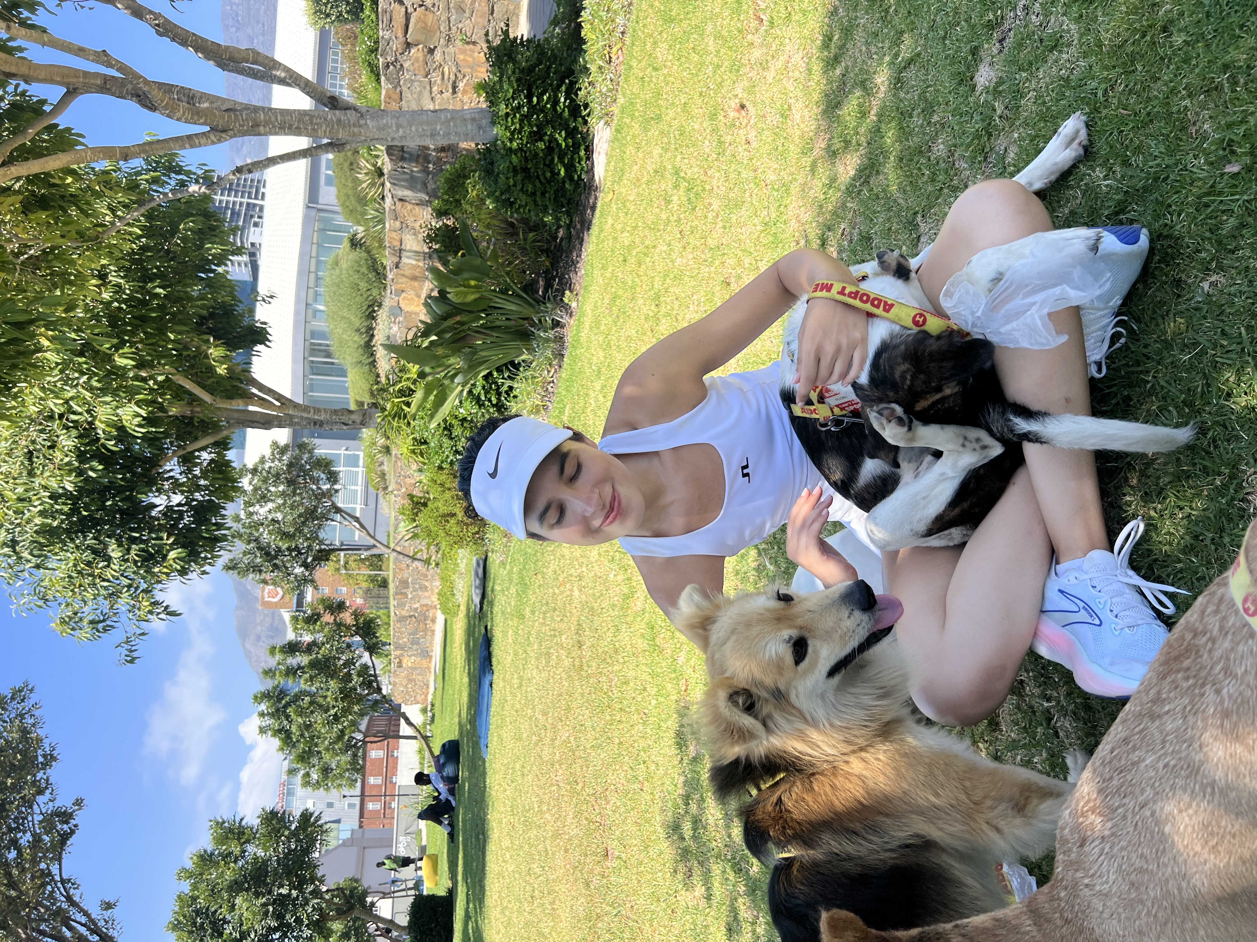 image-2
