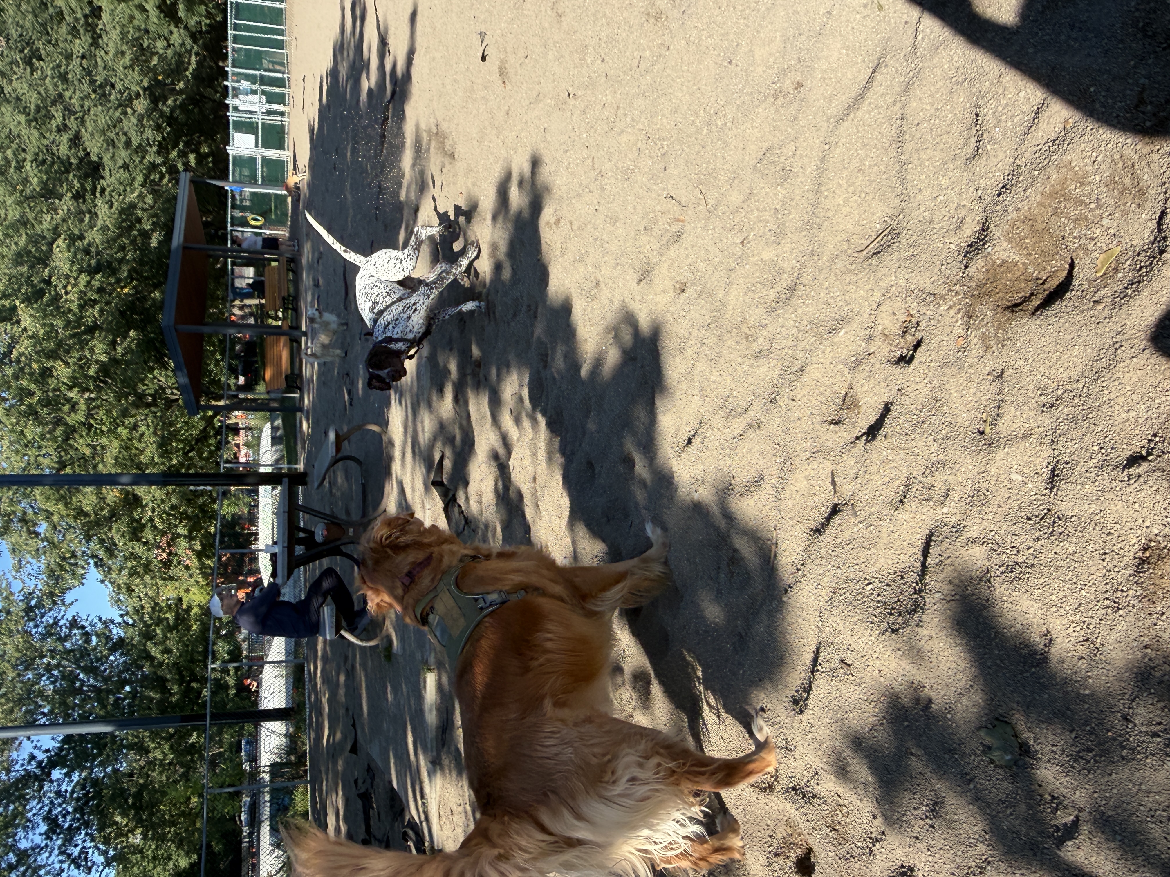 image-14