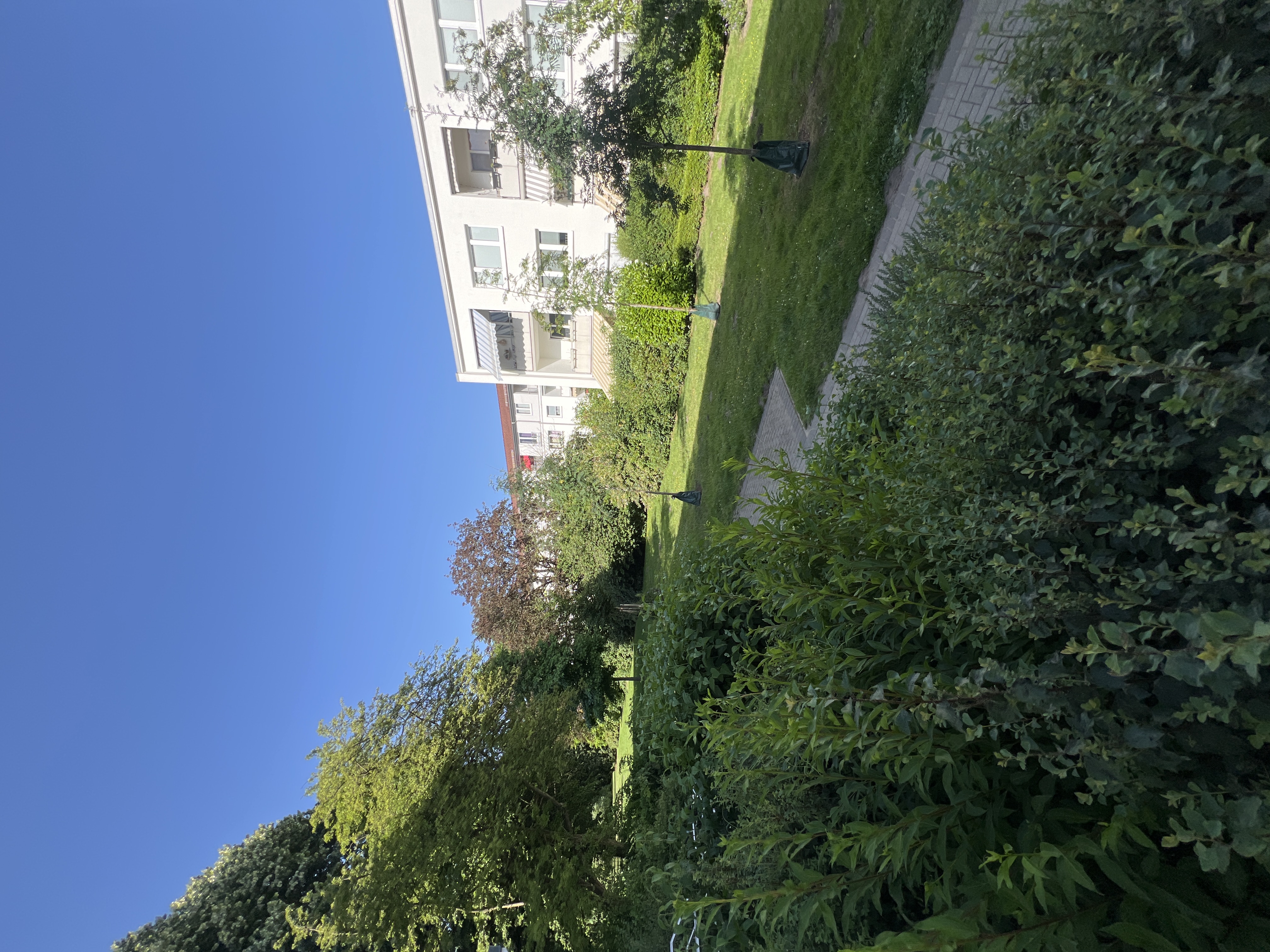 image-7